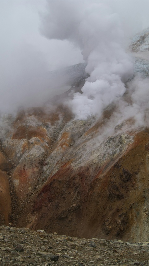 Image 1185820 — Nature