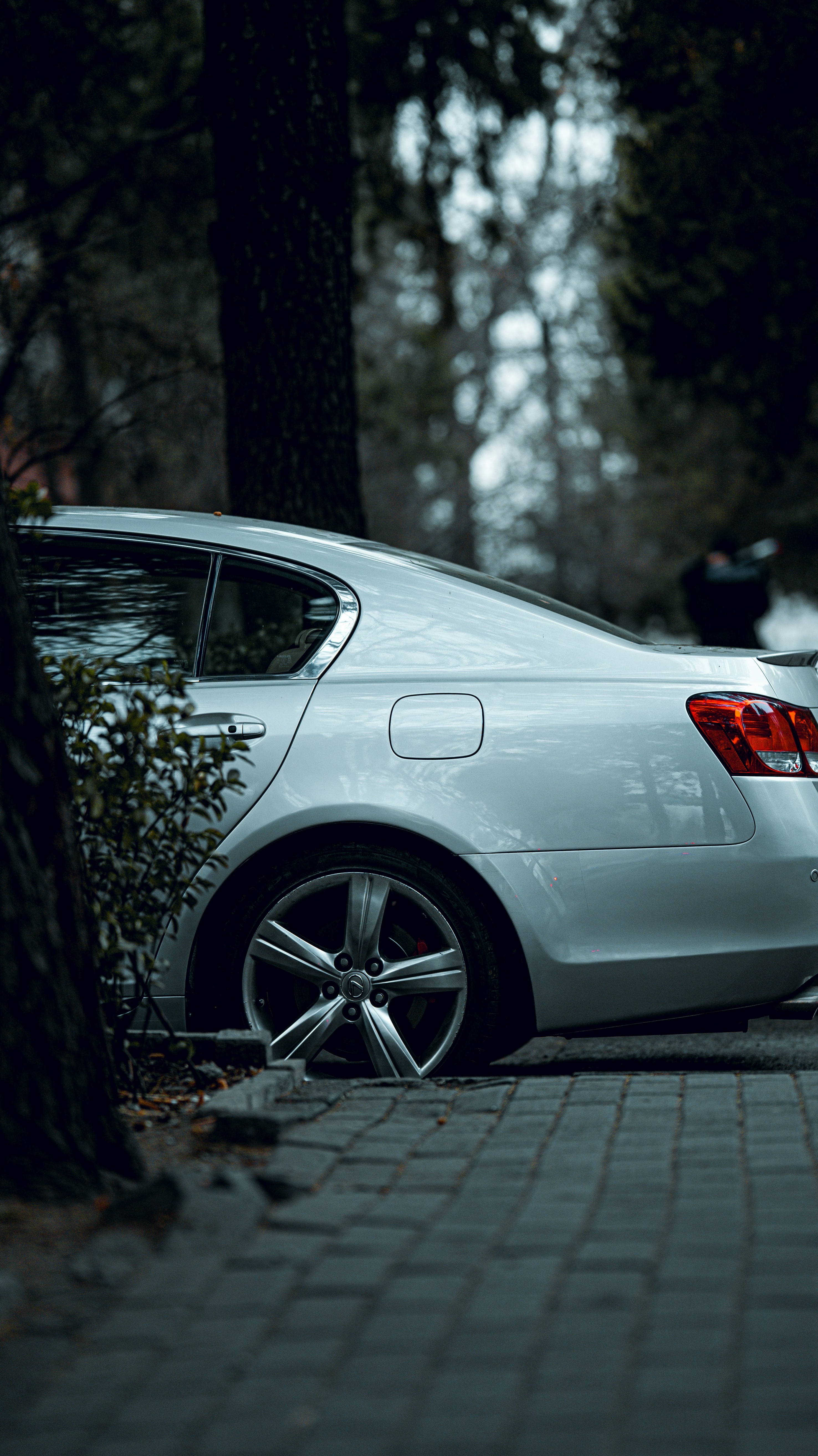 Silver Sedan Parked in Wooded Area