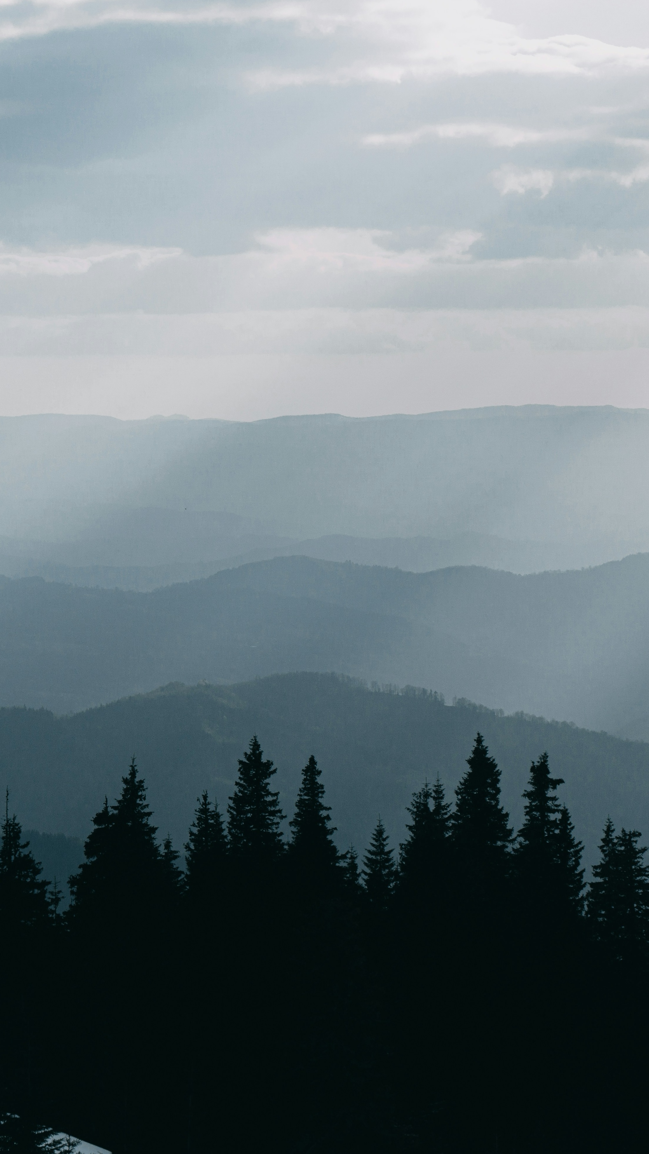Landscapes