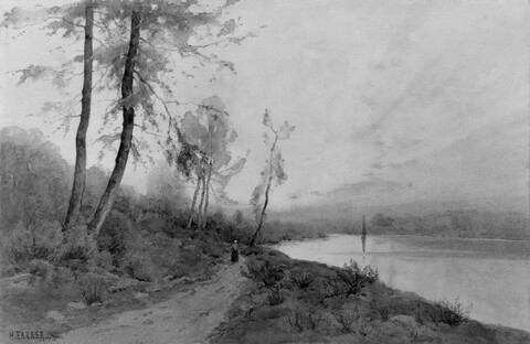 Misty Lakeside Forest Path