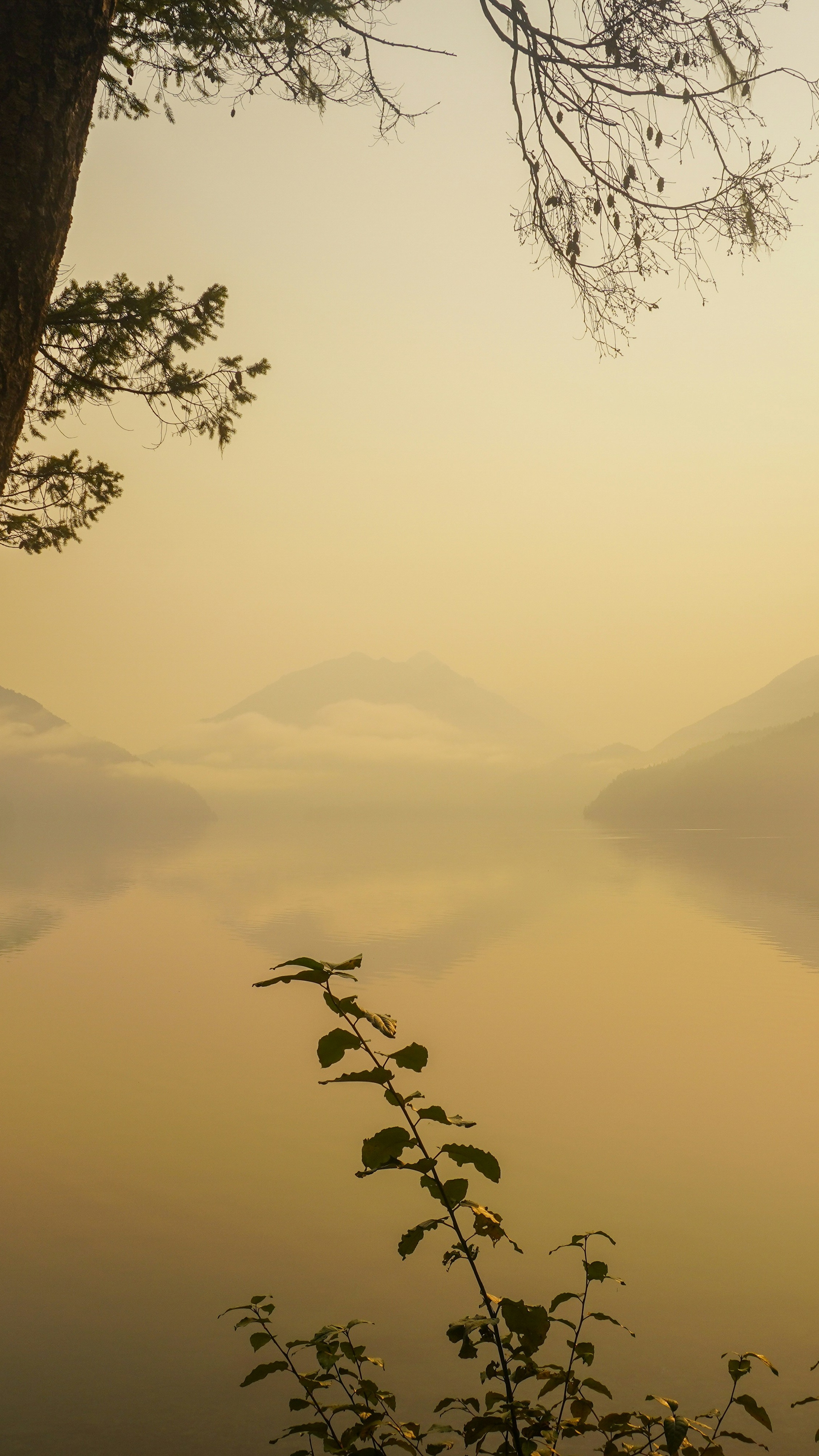 Landscapes