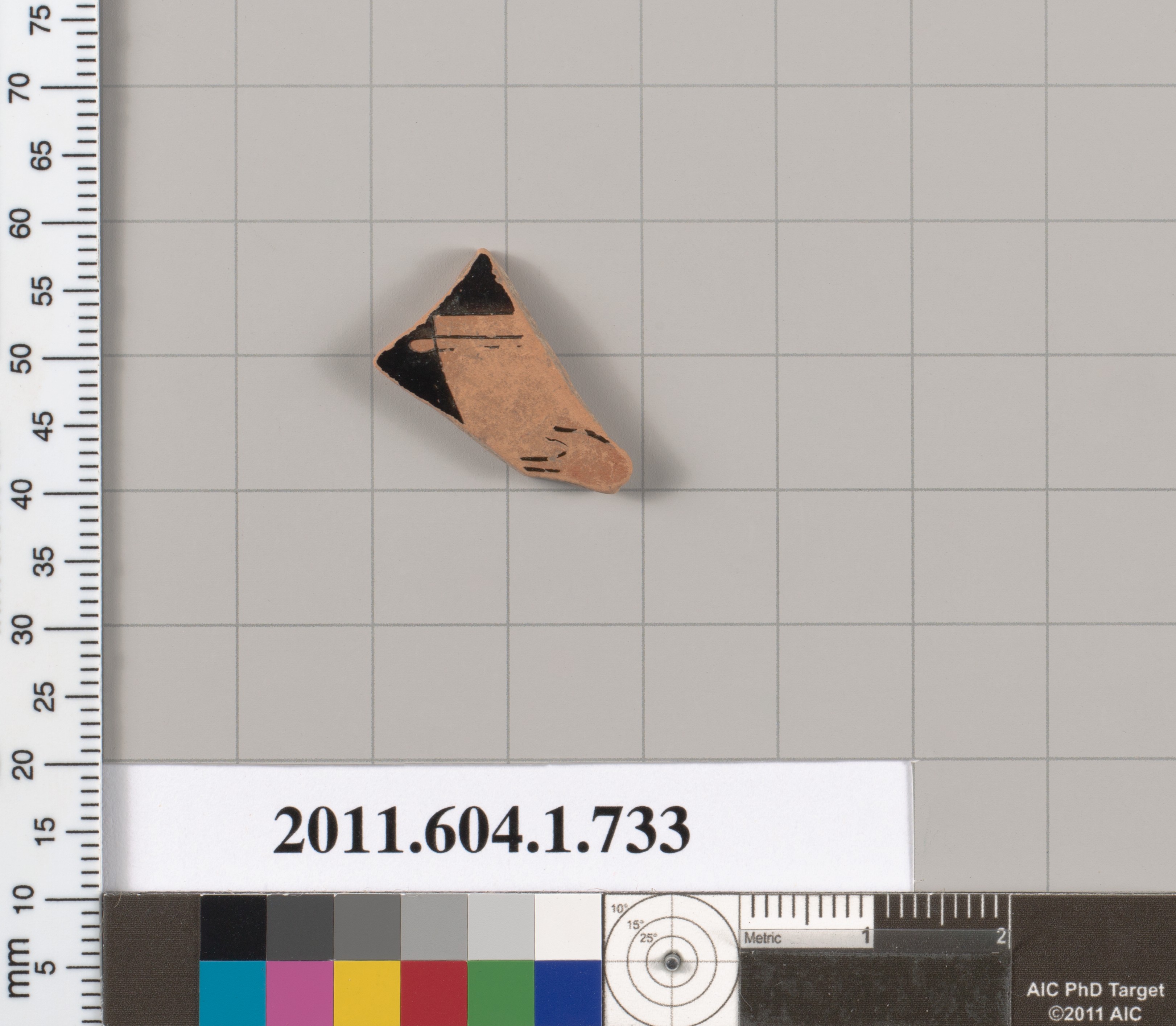 Terracotta Pottery Fragment