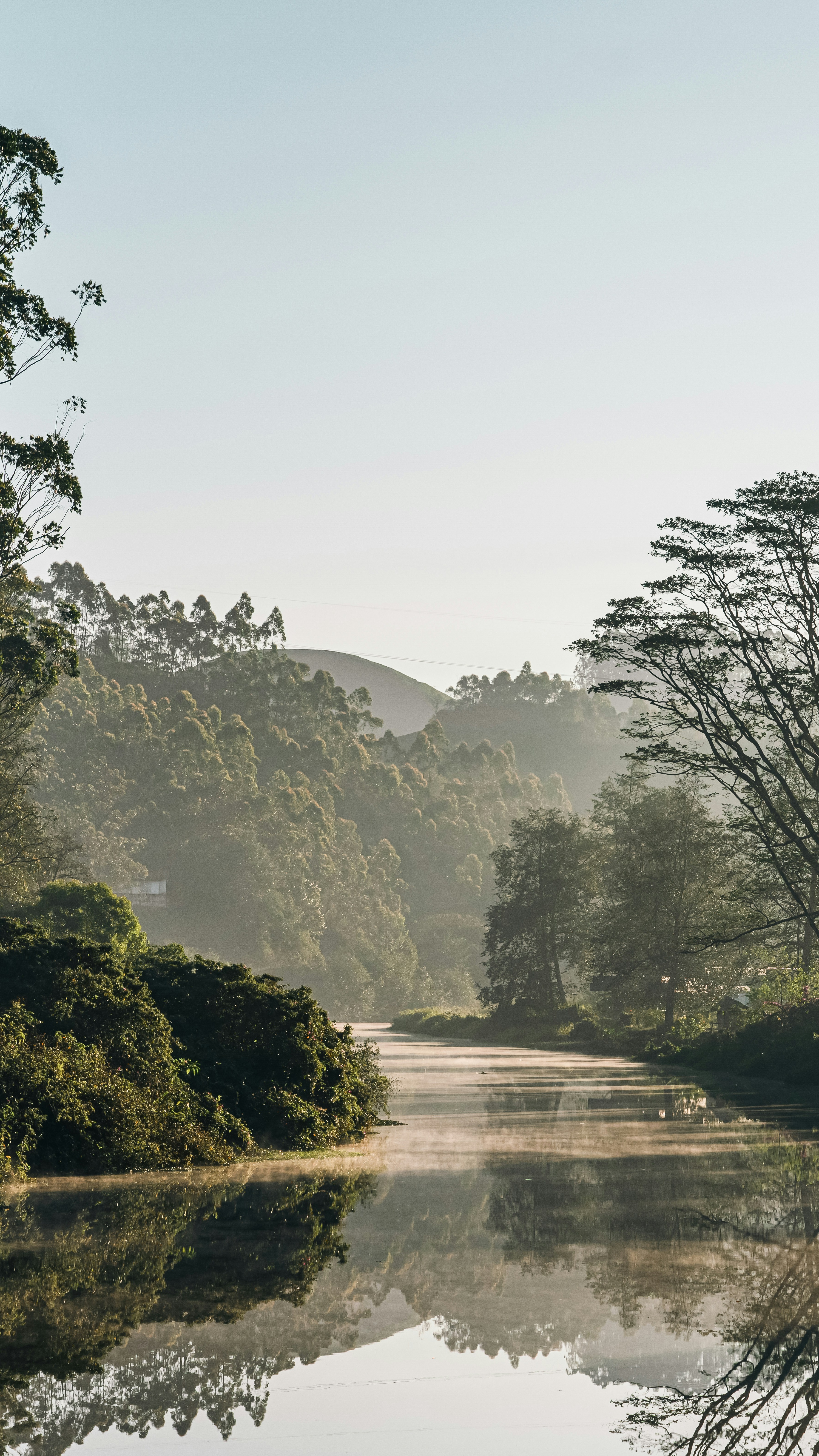 Misty Morning River Valley