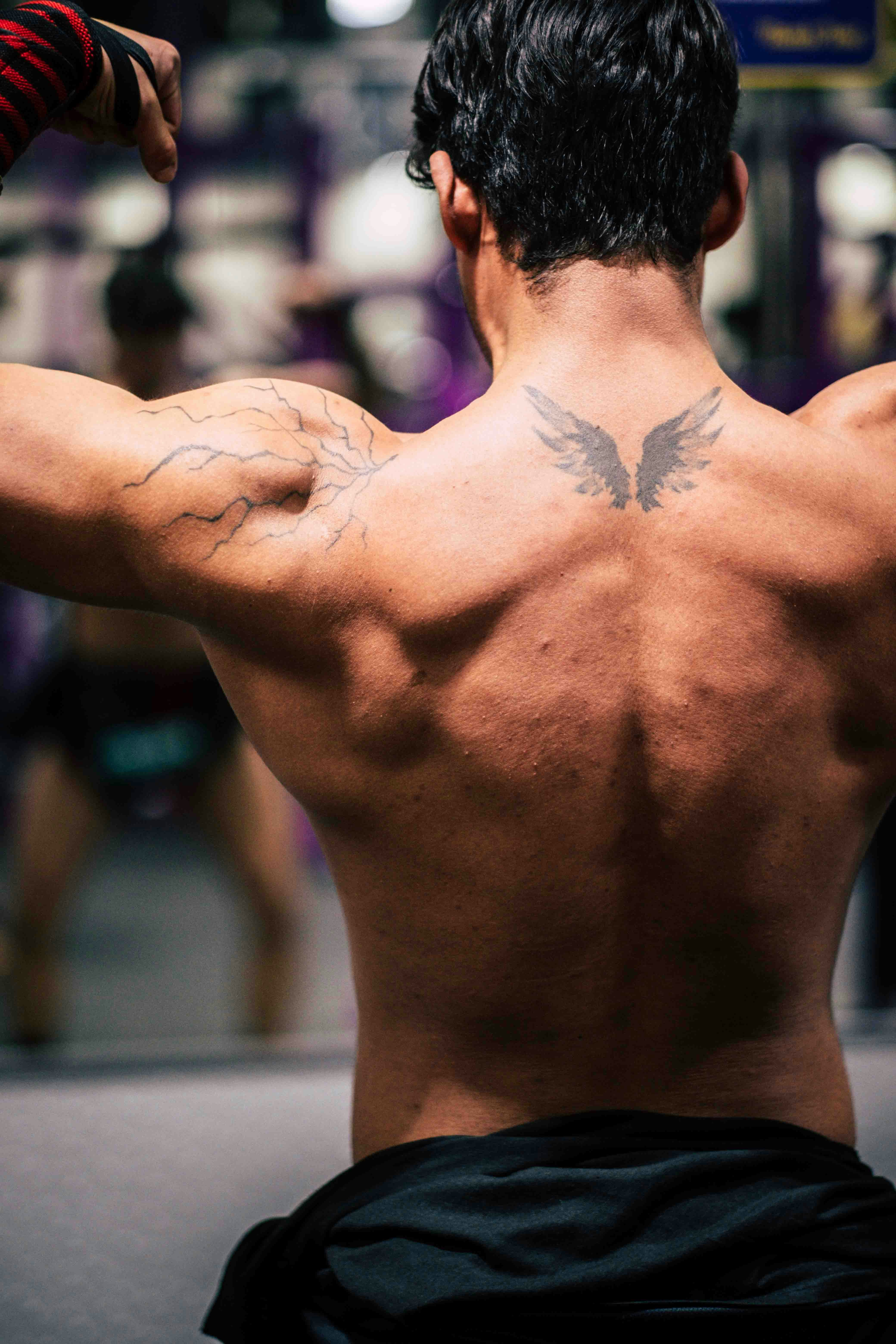 Muscular Man's Back in Gym