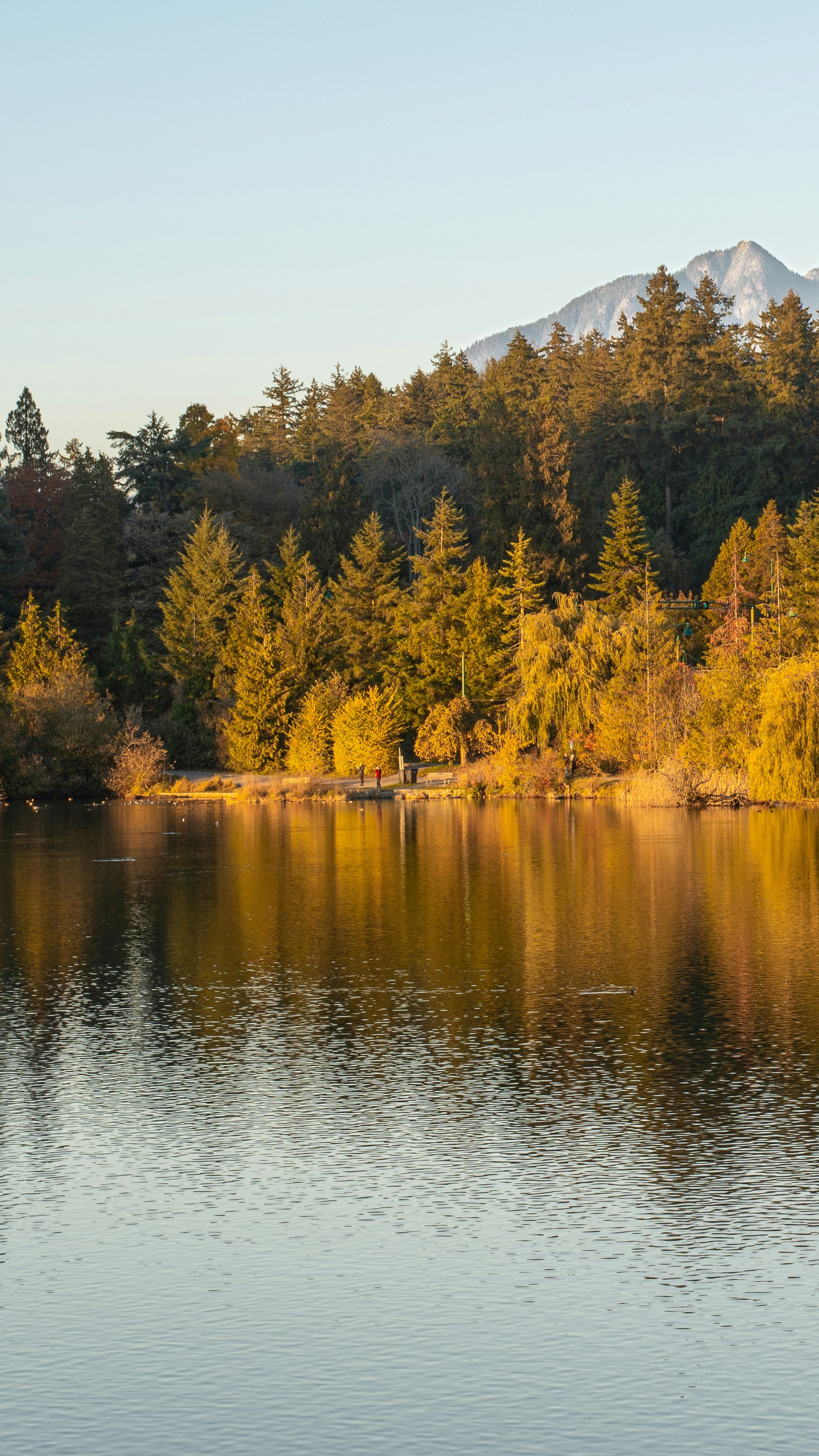 Autumn Lake and Mountain View