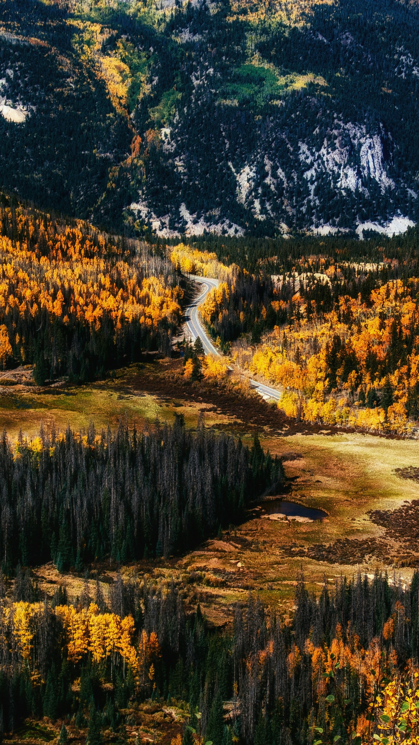 Wallpapers
