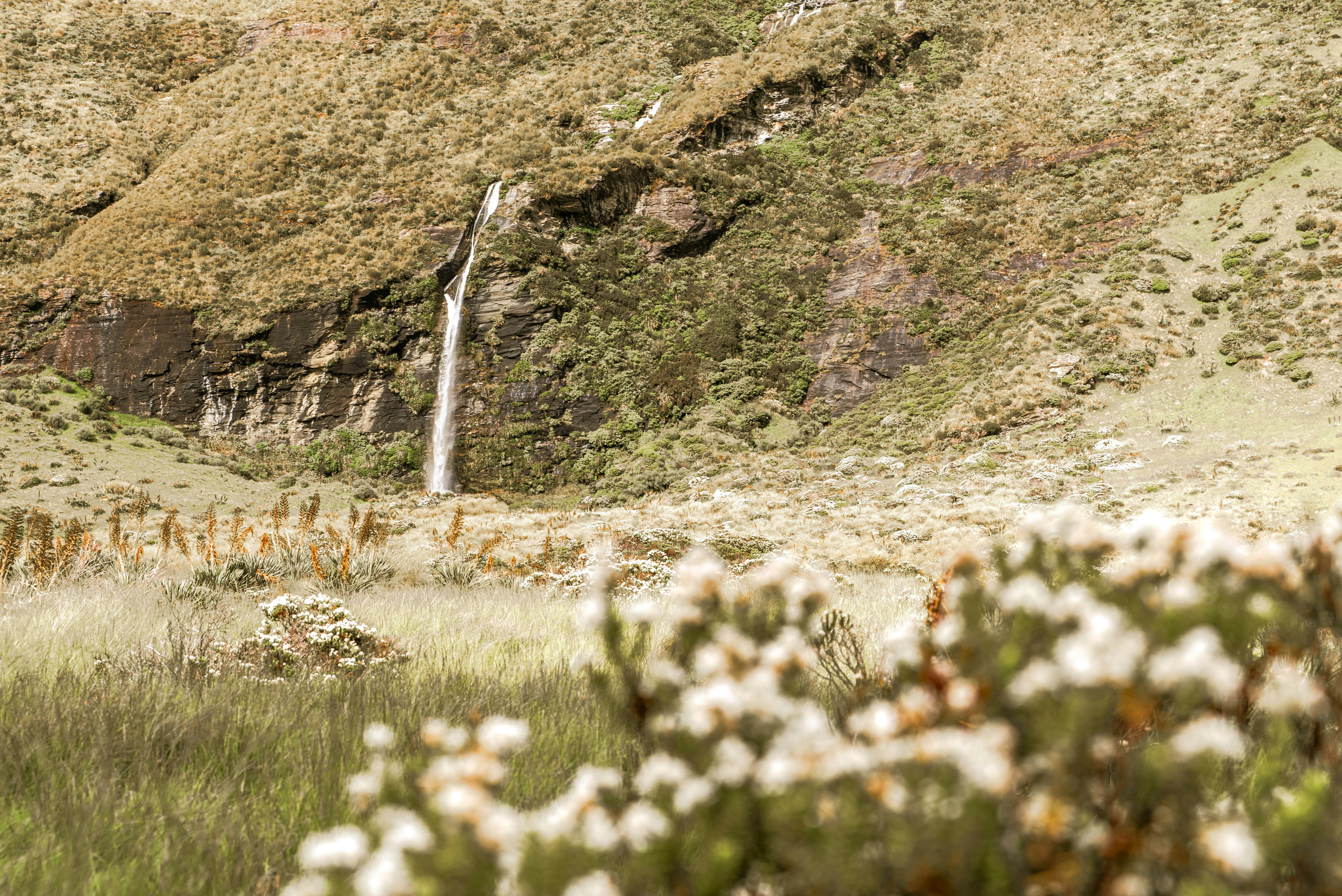 Mountain Waterfall with Wildflowers