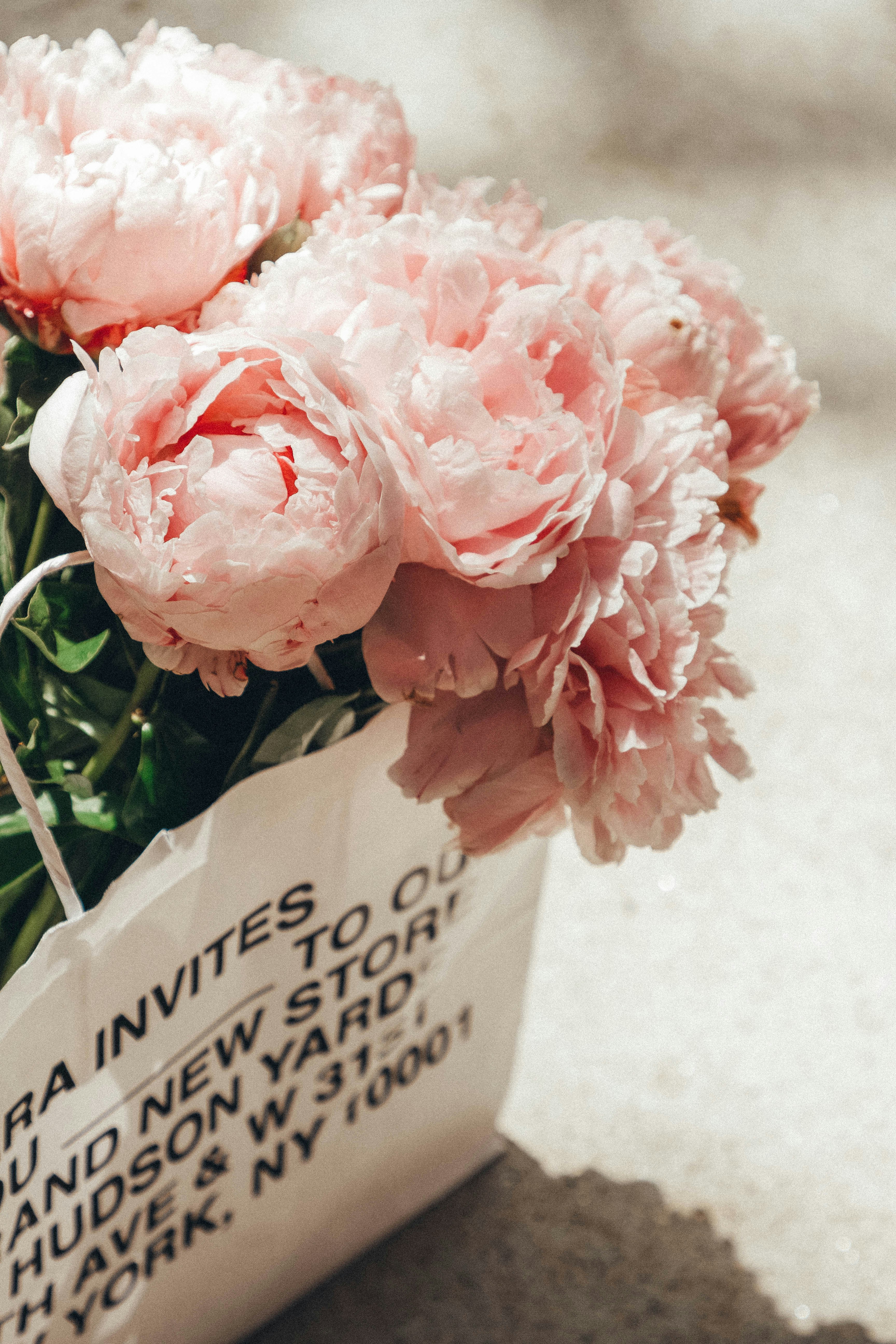 Pink Peonies in Paper Shopping Bag