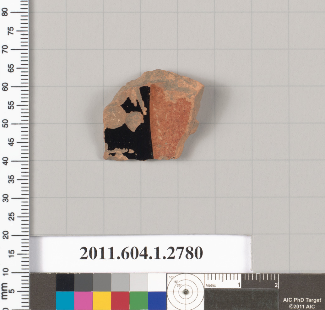 Pottery Shard Archaeological Specimen