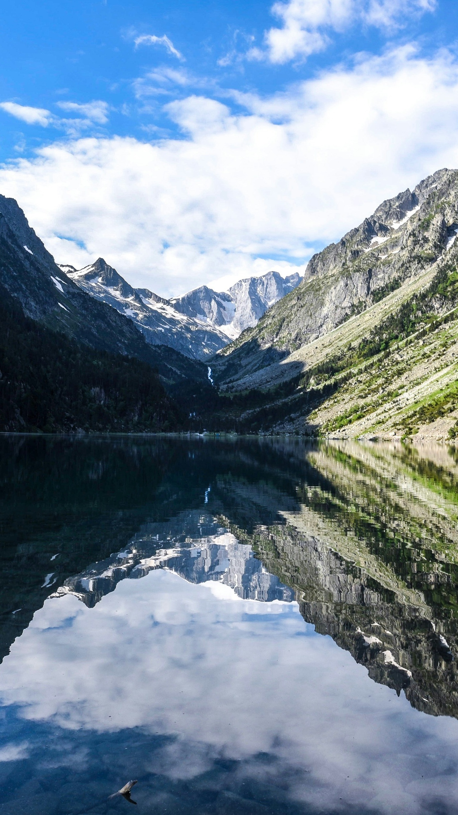 Landscapes