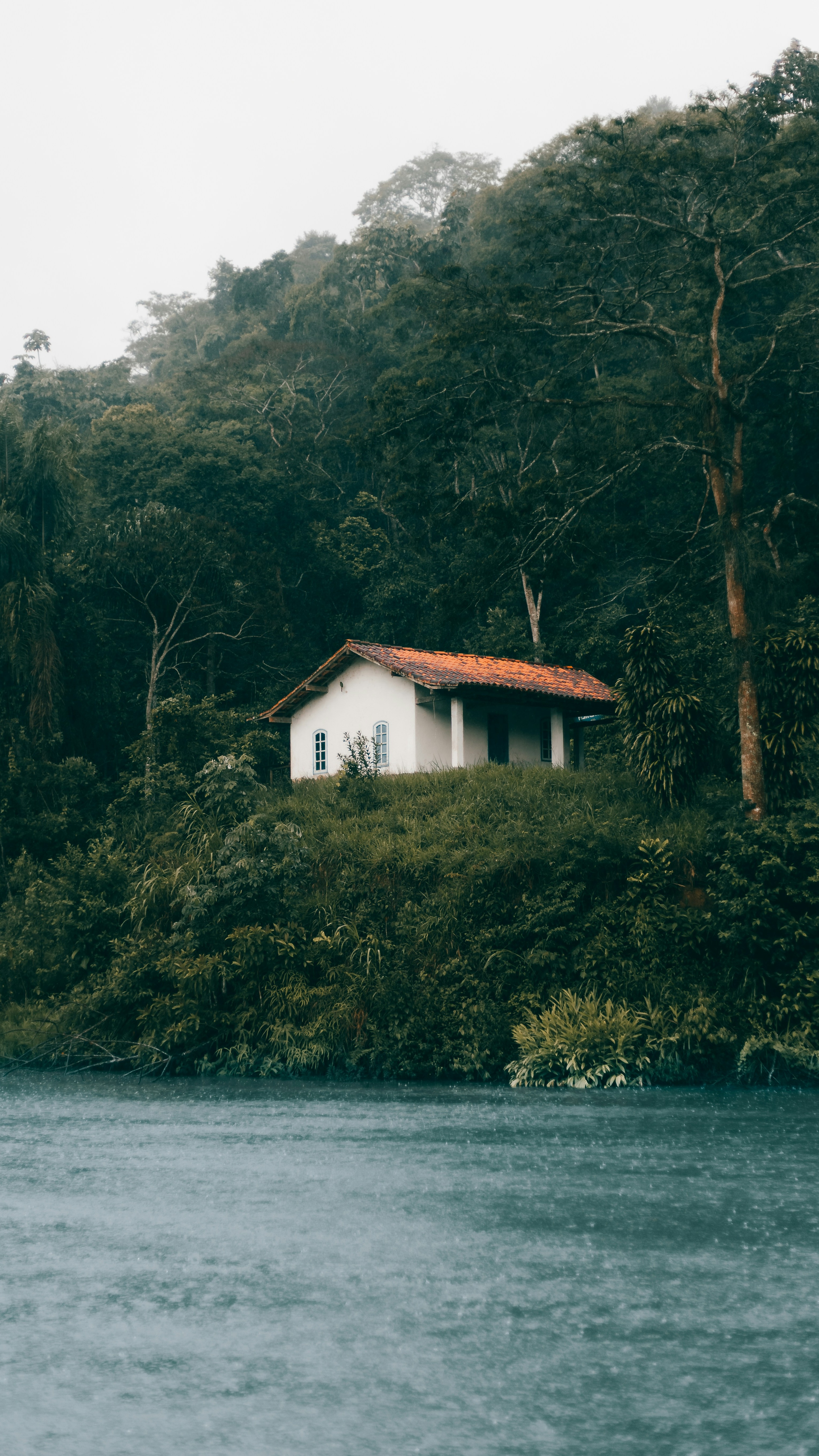 Secluded Cottage by Forest Lake