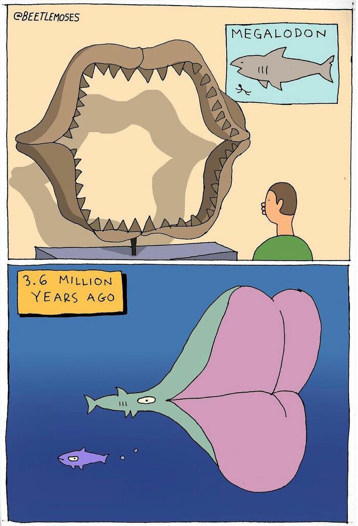 Image 24128 — Funny