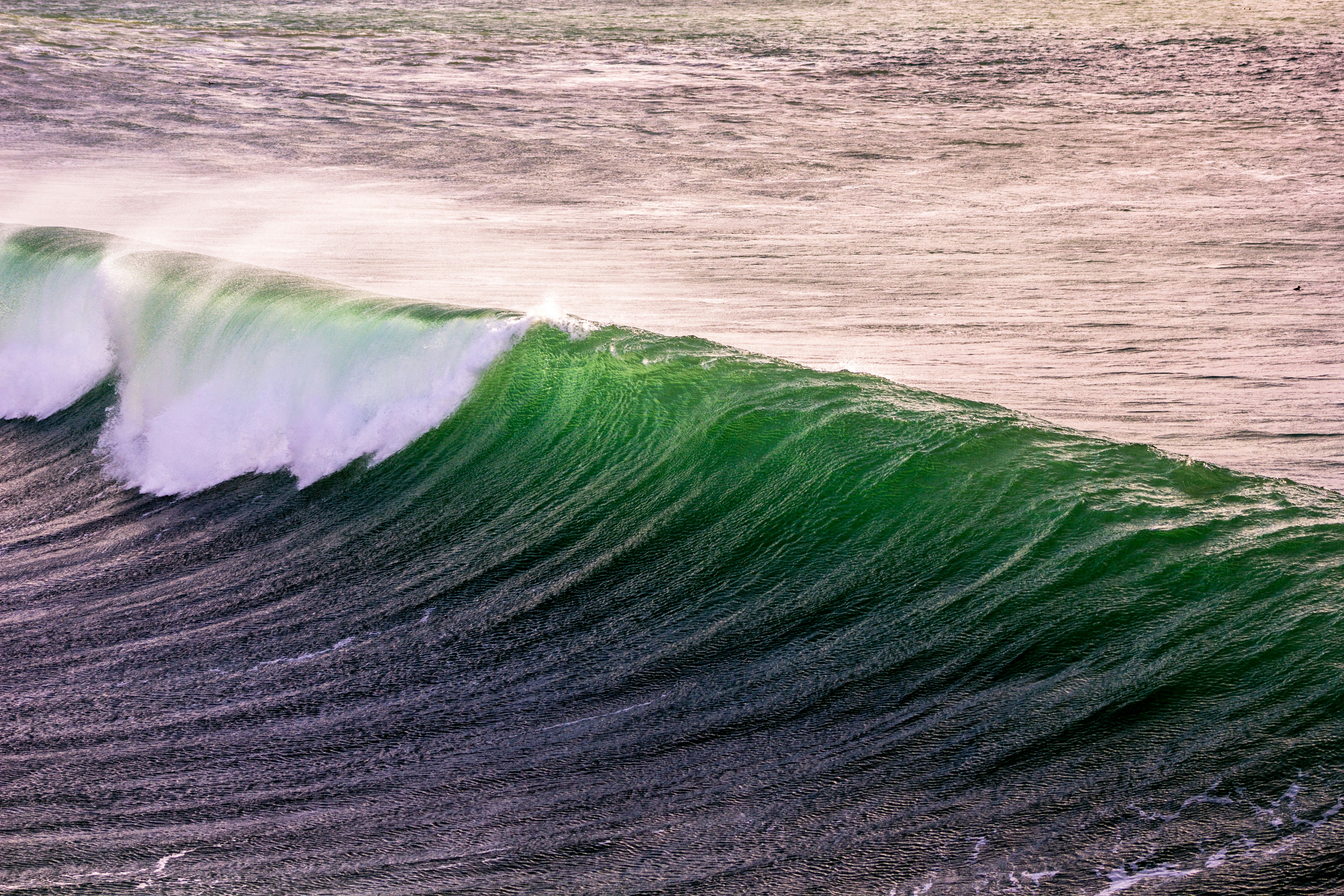 Curling Green Ocean Wave