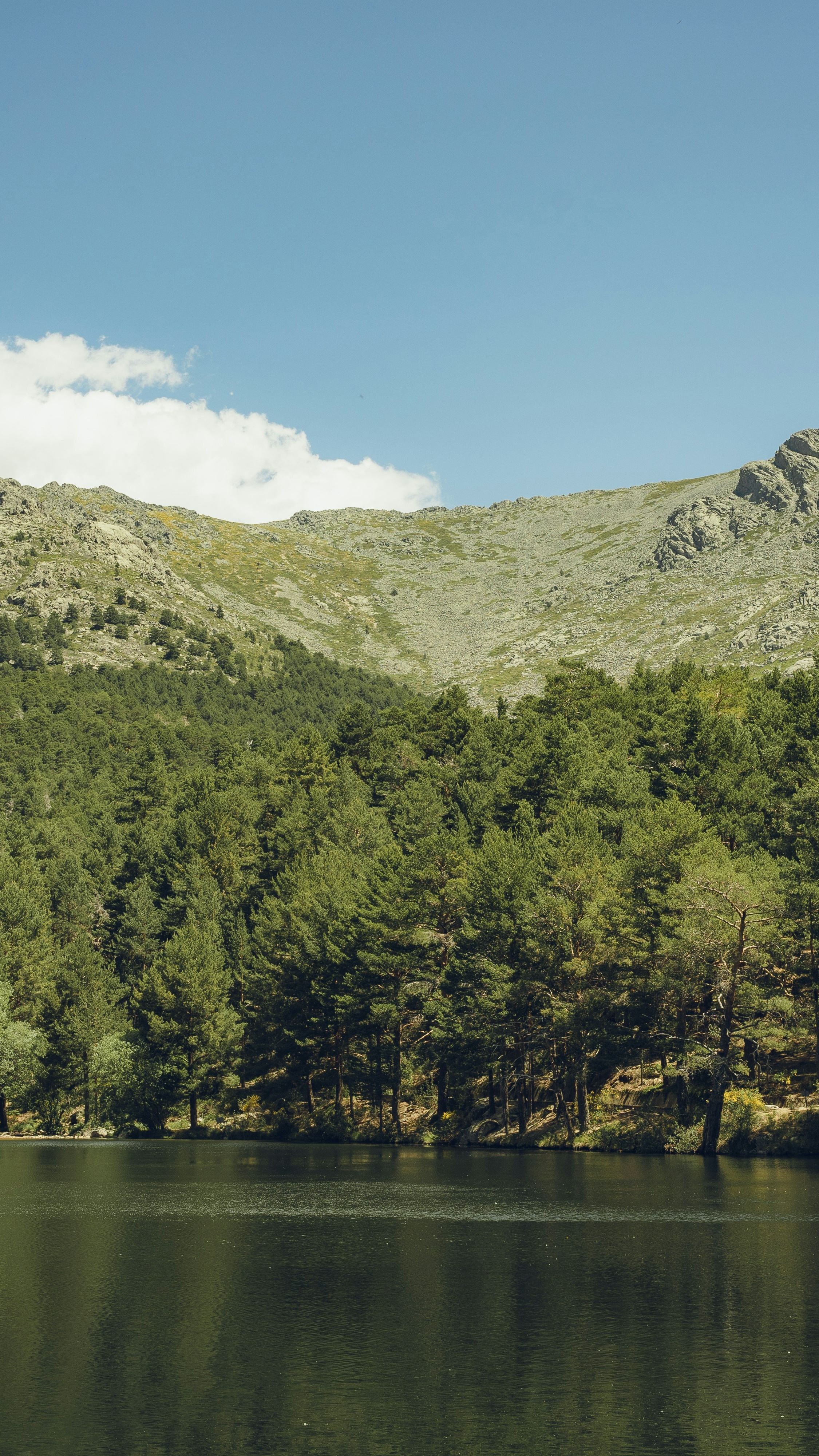 Landscapes