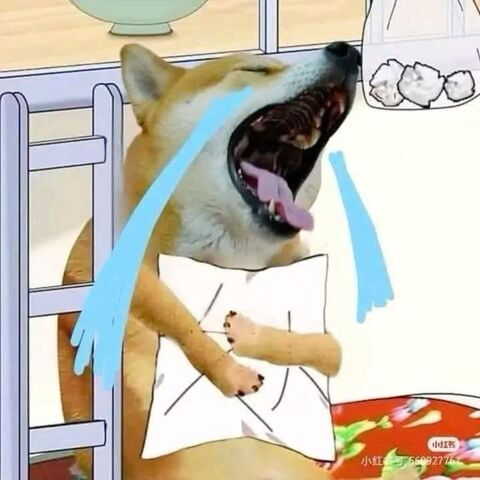 Crying Shiba Inu Meme