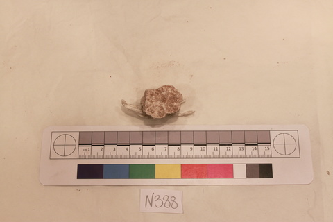 Archaeological Specimen with Scale Bar