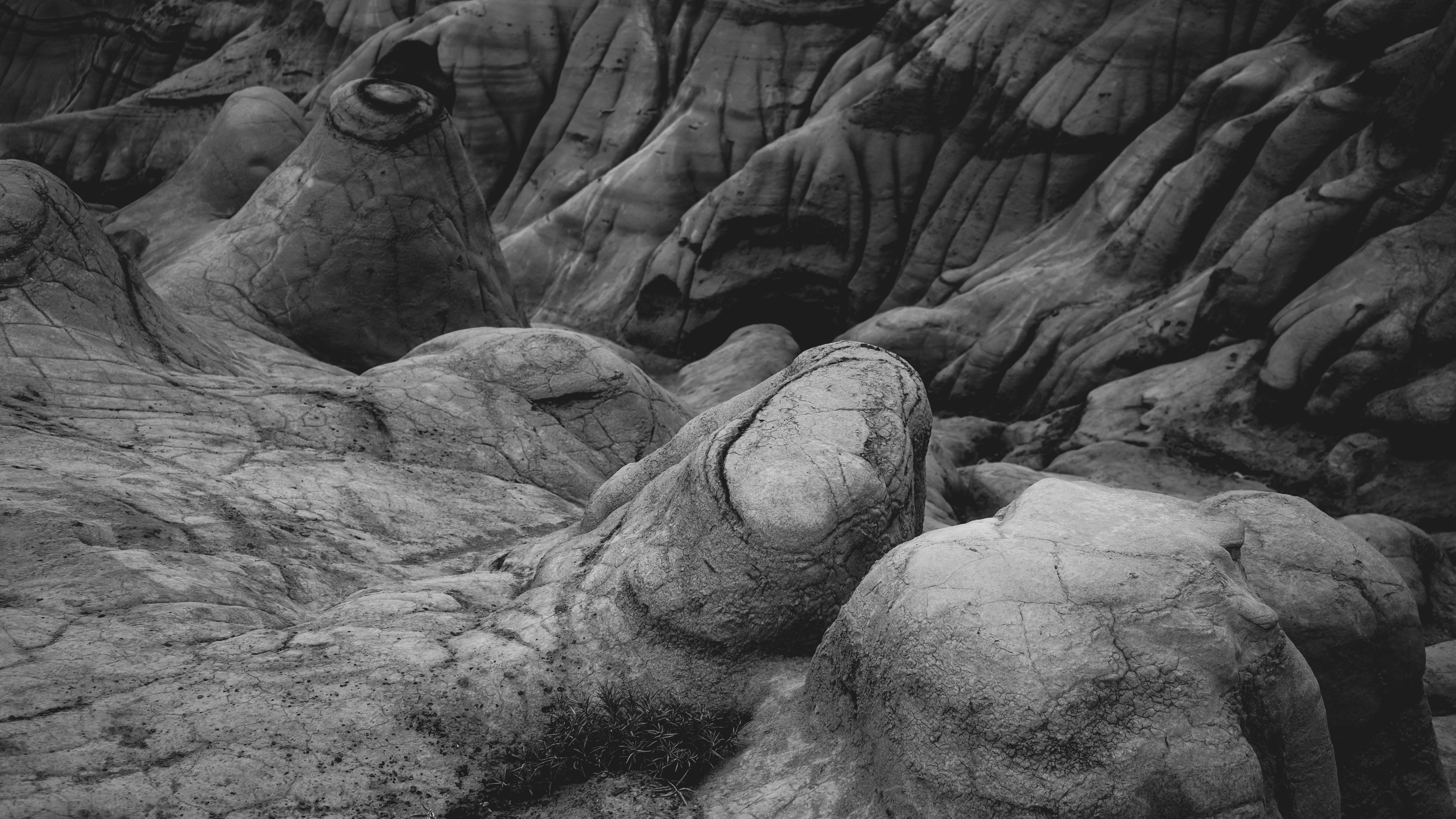 Black and White Eroded Rock Terrain