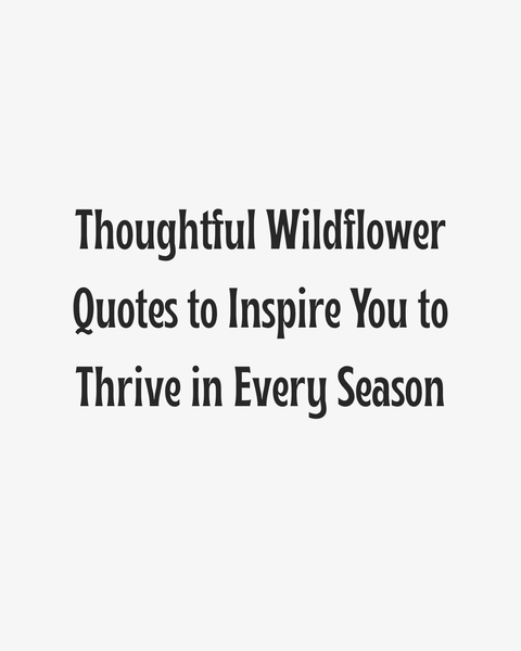 Inspirational Wildflower Quotes Title Graphic