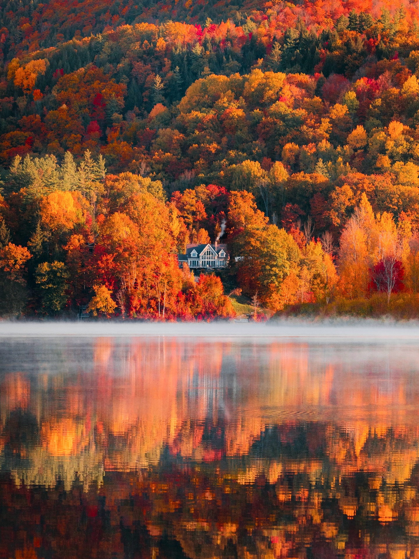 Autumn Lakeside Cabin Landscape