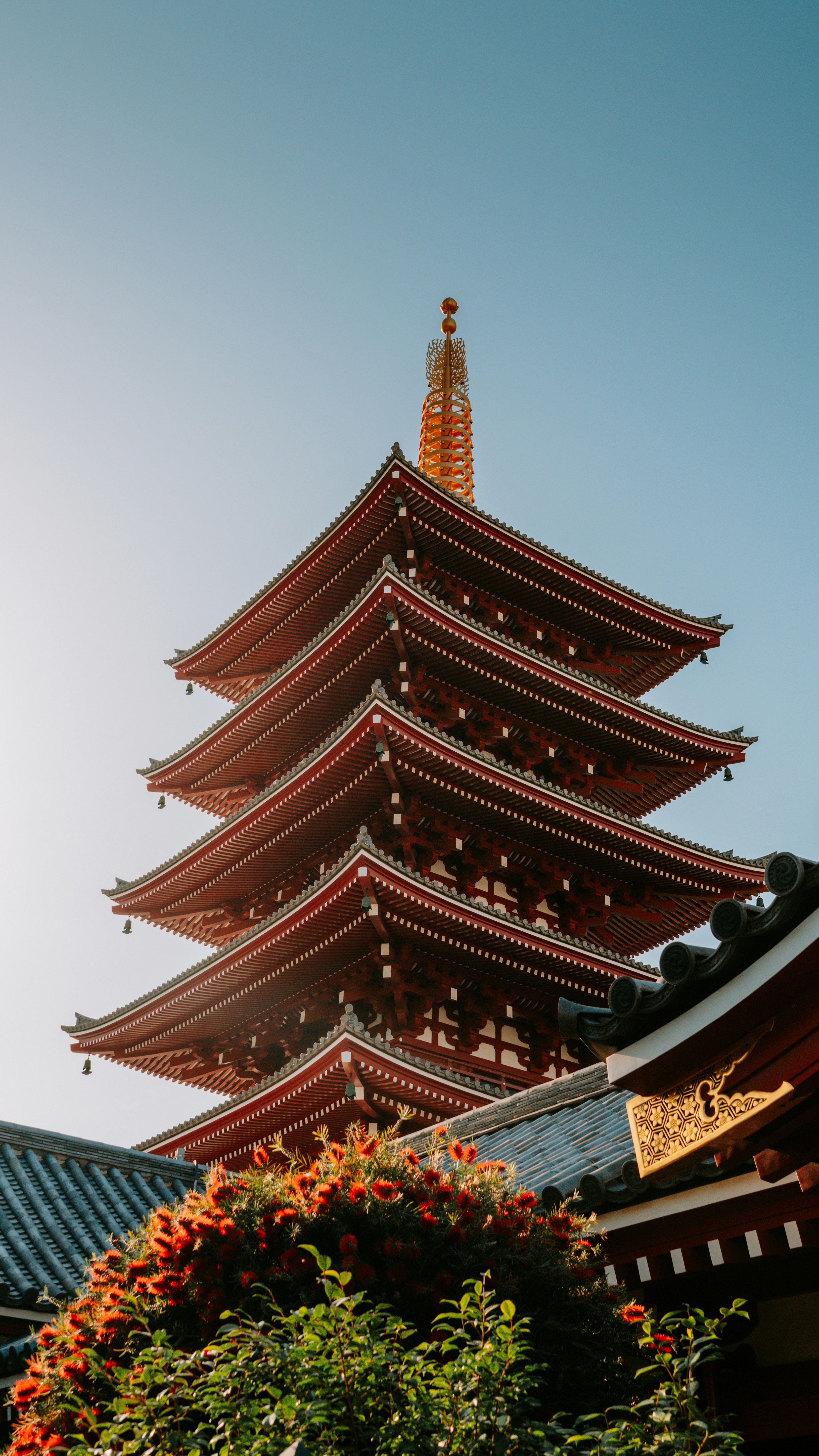 Wallpapers