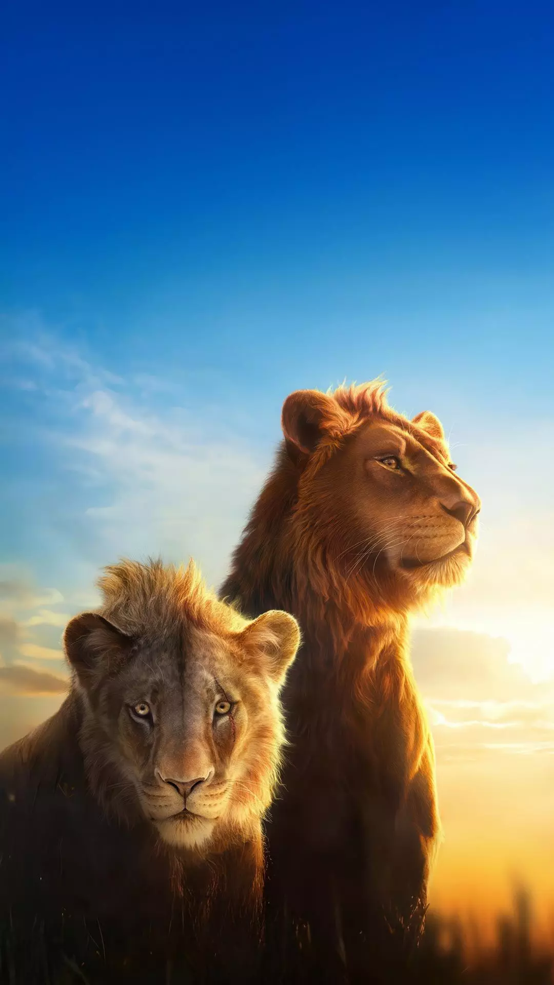 Wallpapers