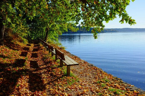 Autumn Lakeside Trail With Benches
