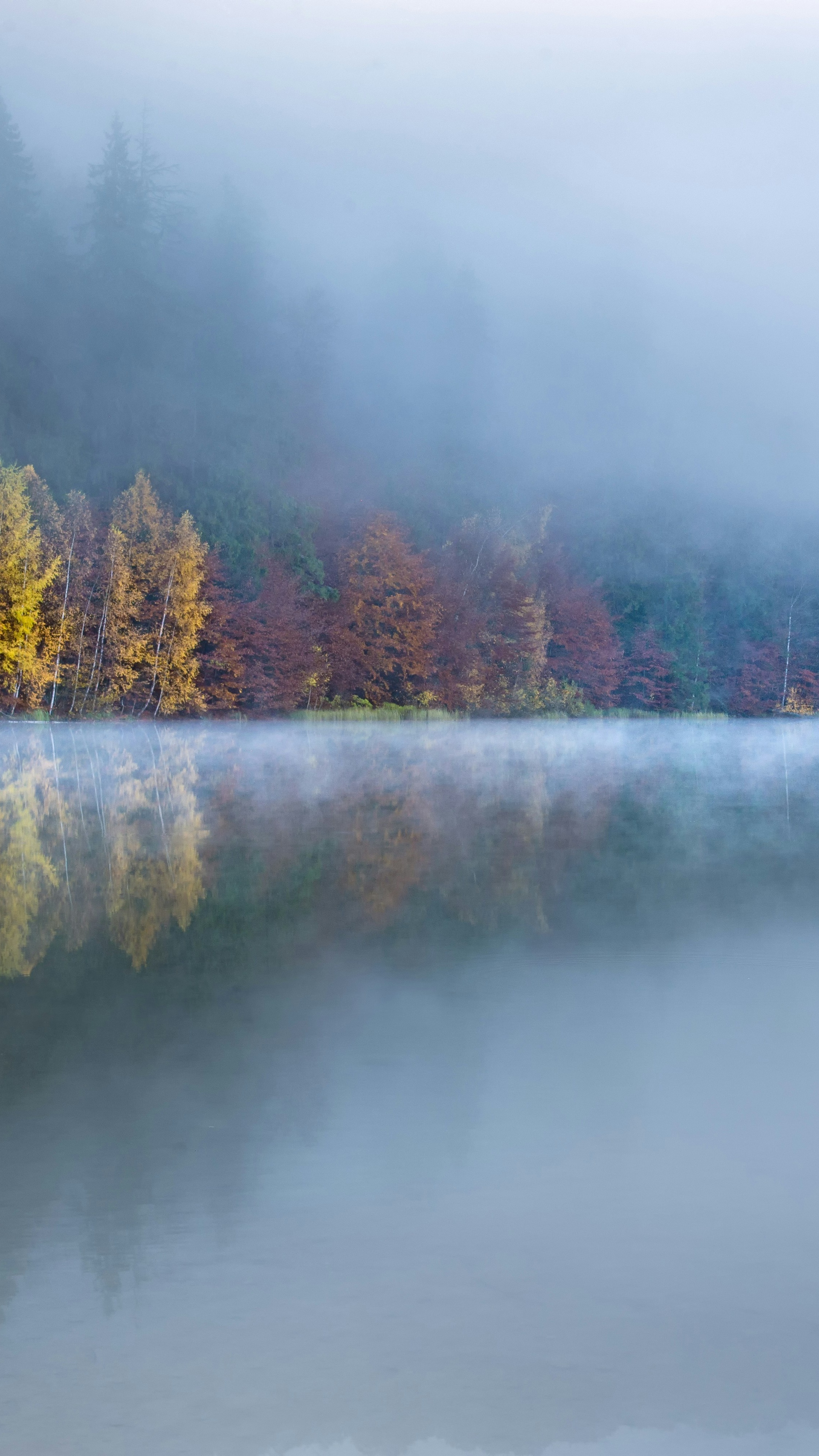 Foggy Autumn Lake Reflections