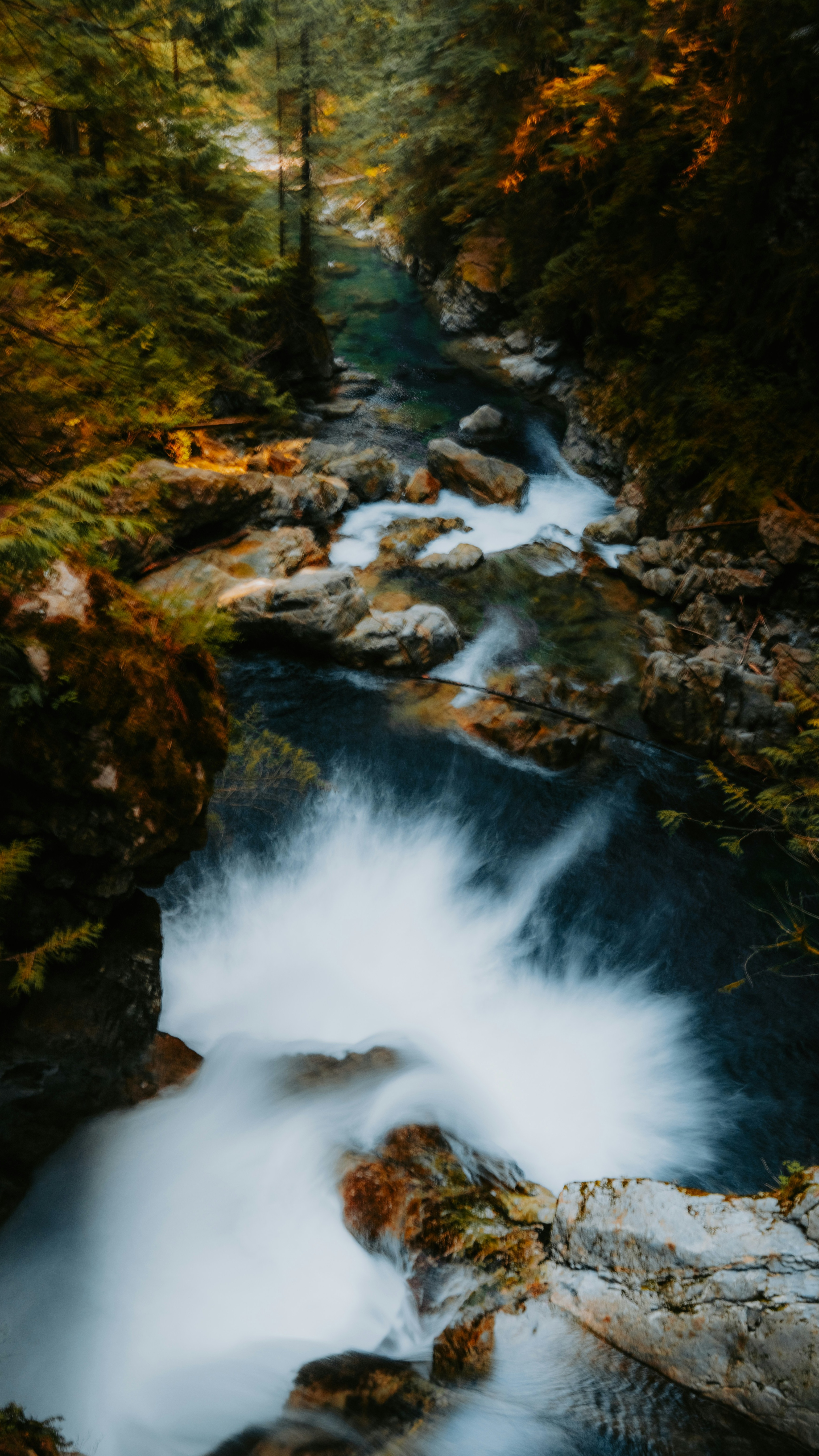 Wallpapers