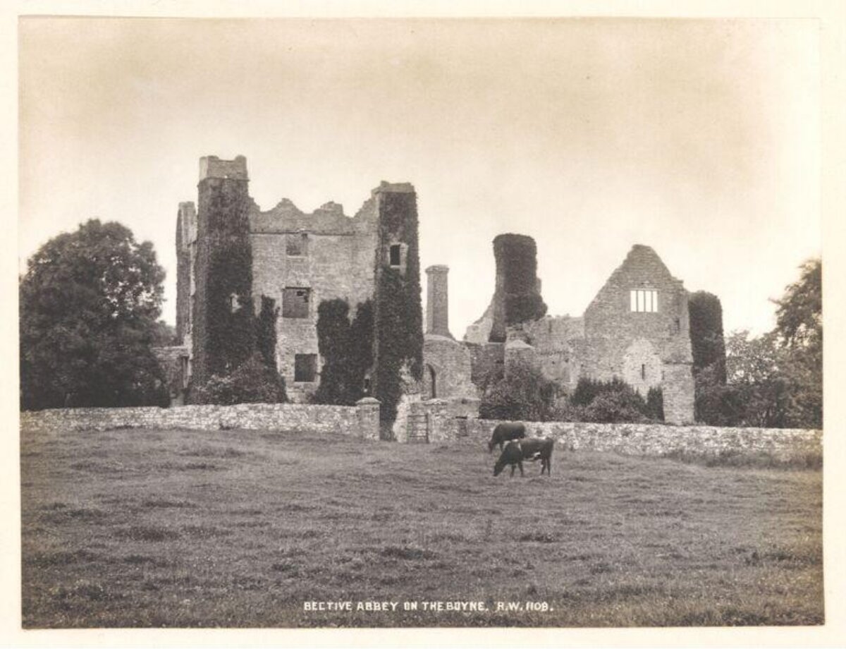 Bective Abbey on the Boyne Ruins