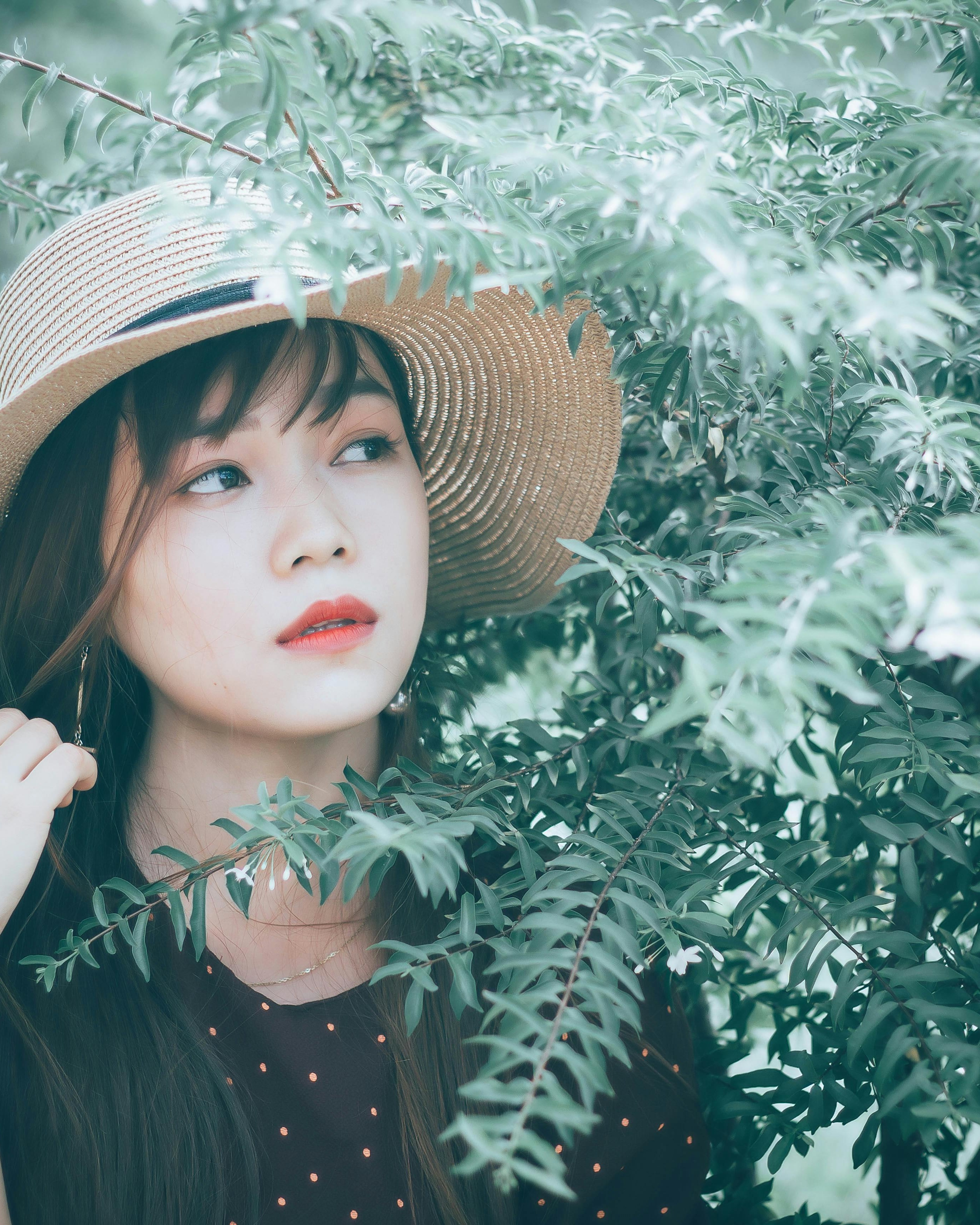 Forest & Flora