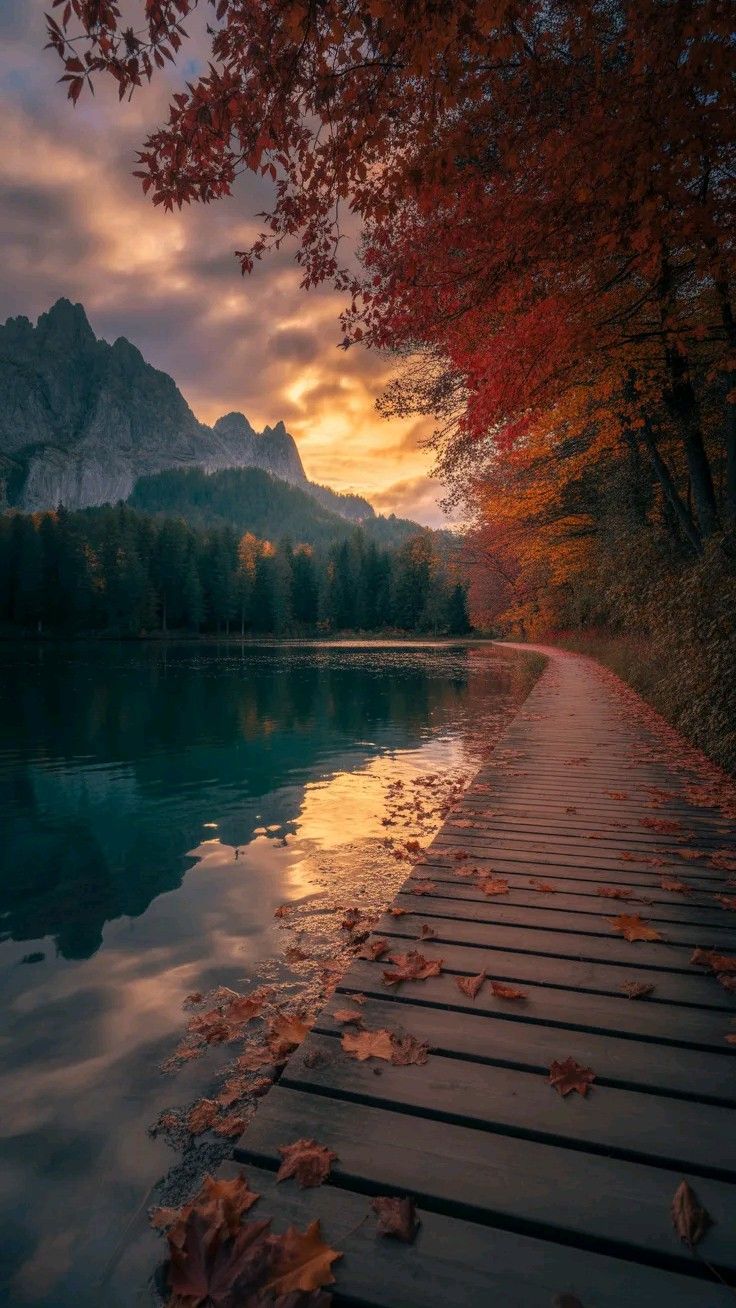 Landscapes