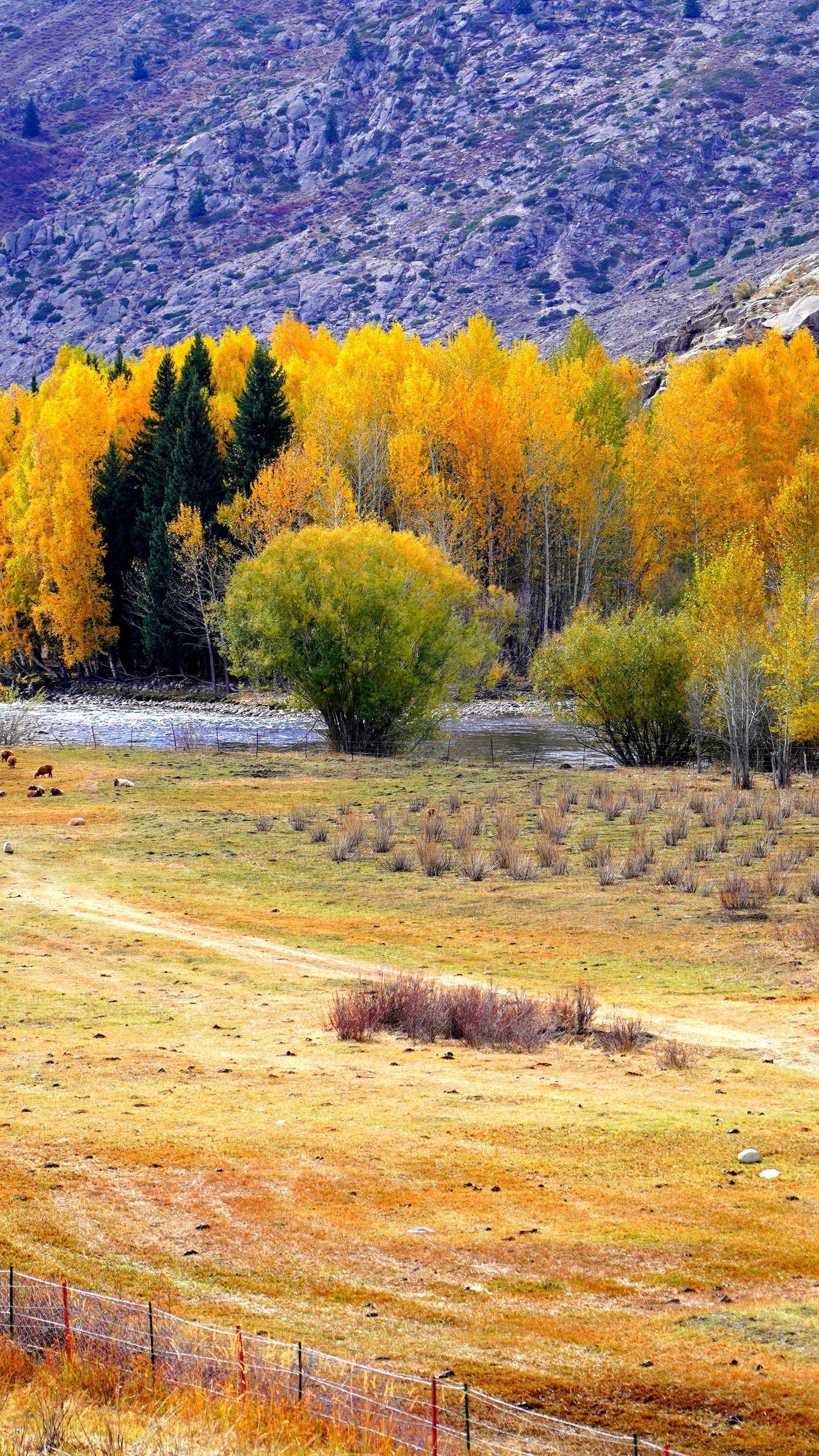 Landscapes