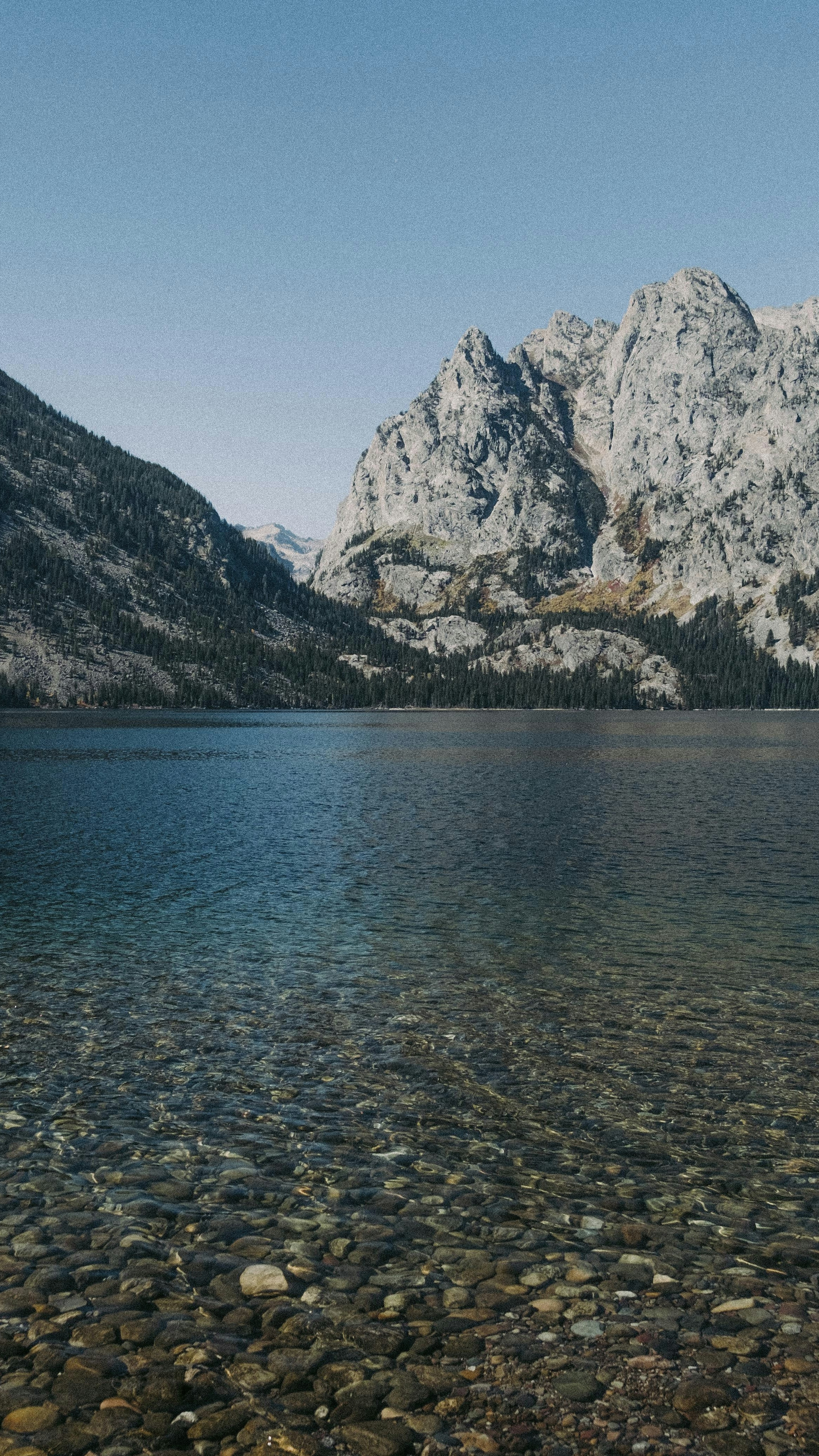 Landscapes