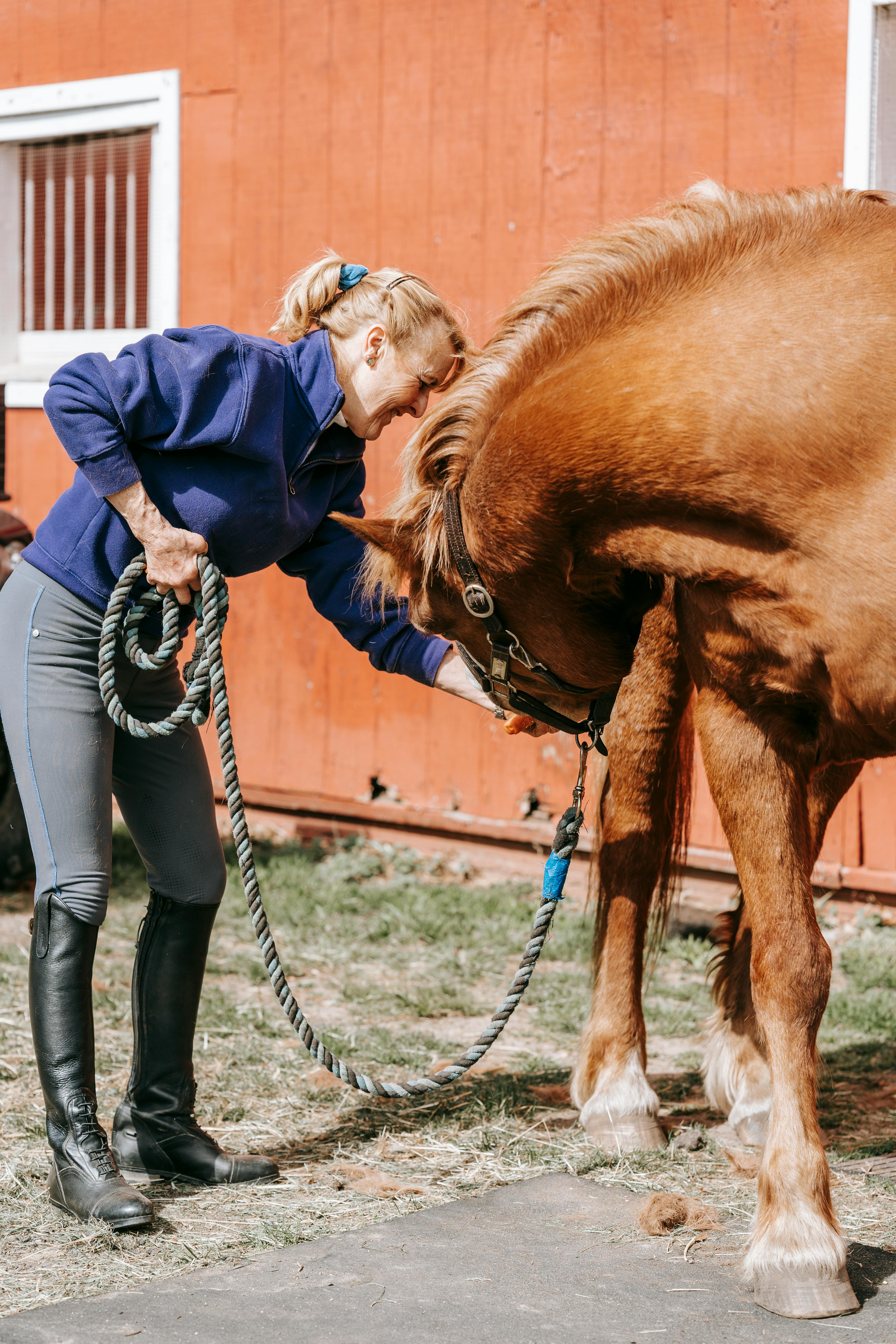 Woman Feeding Horse Outside Red Barn