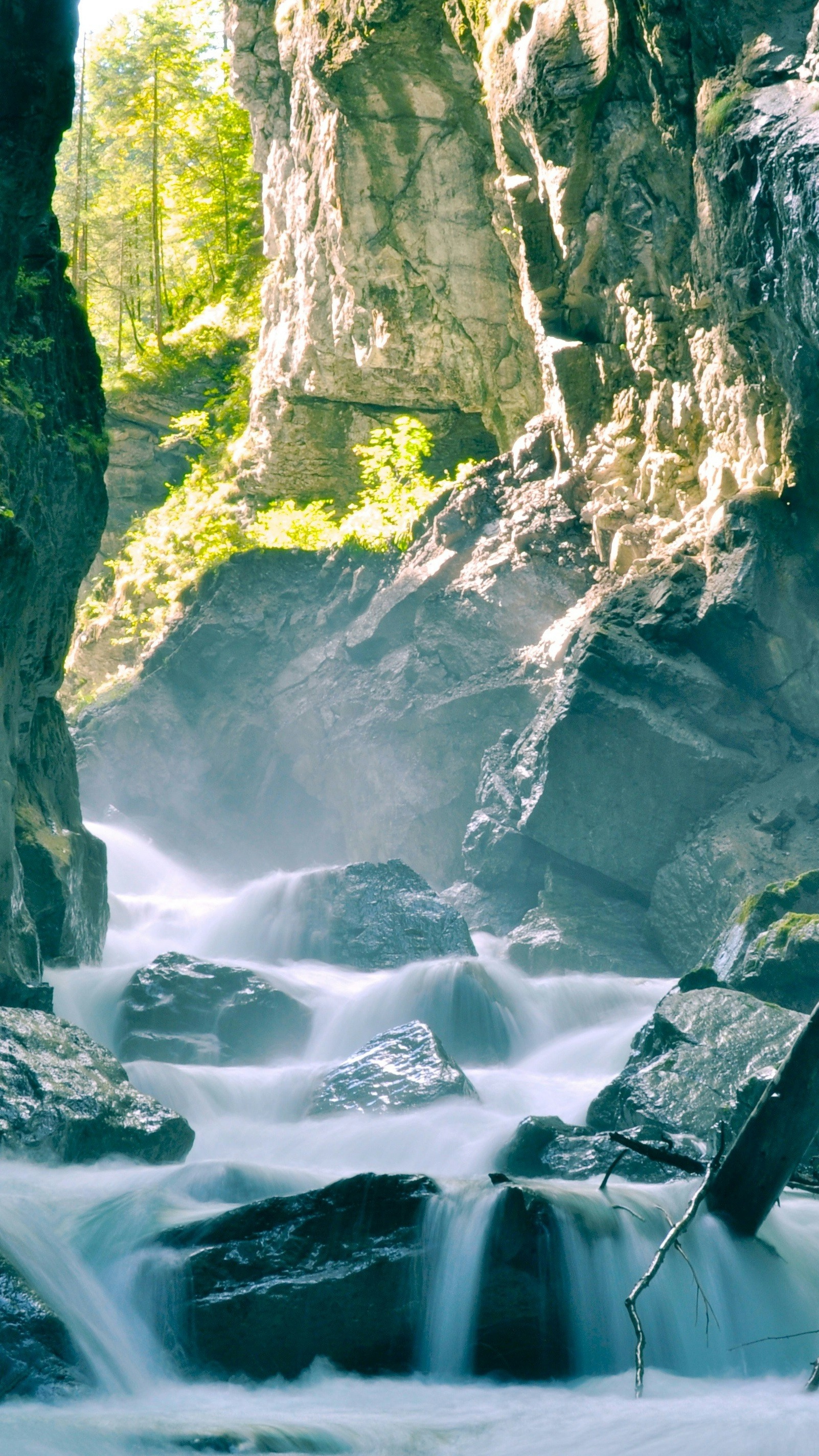 Wallpapers