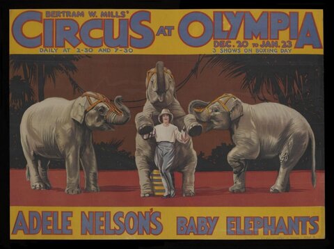 Vintage Circus Baby Elephants Poster