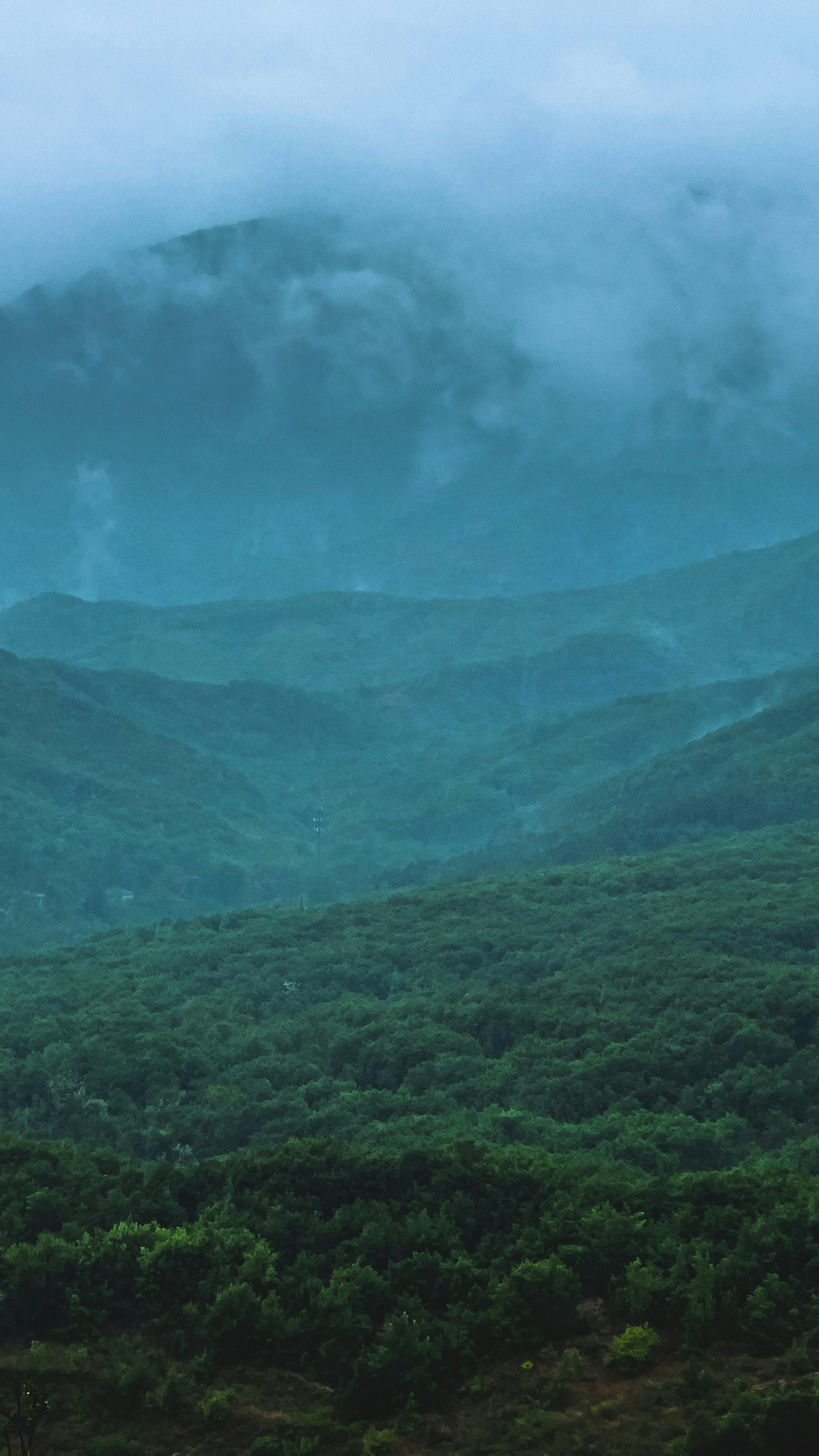Landscapes