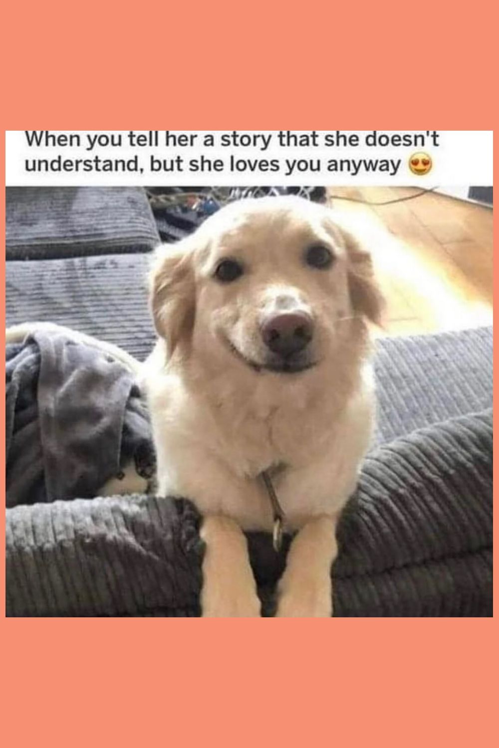 Relatable Golden Retriever Relationship Meme