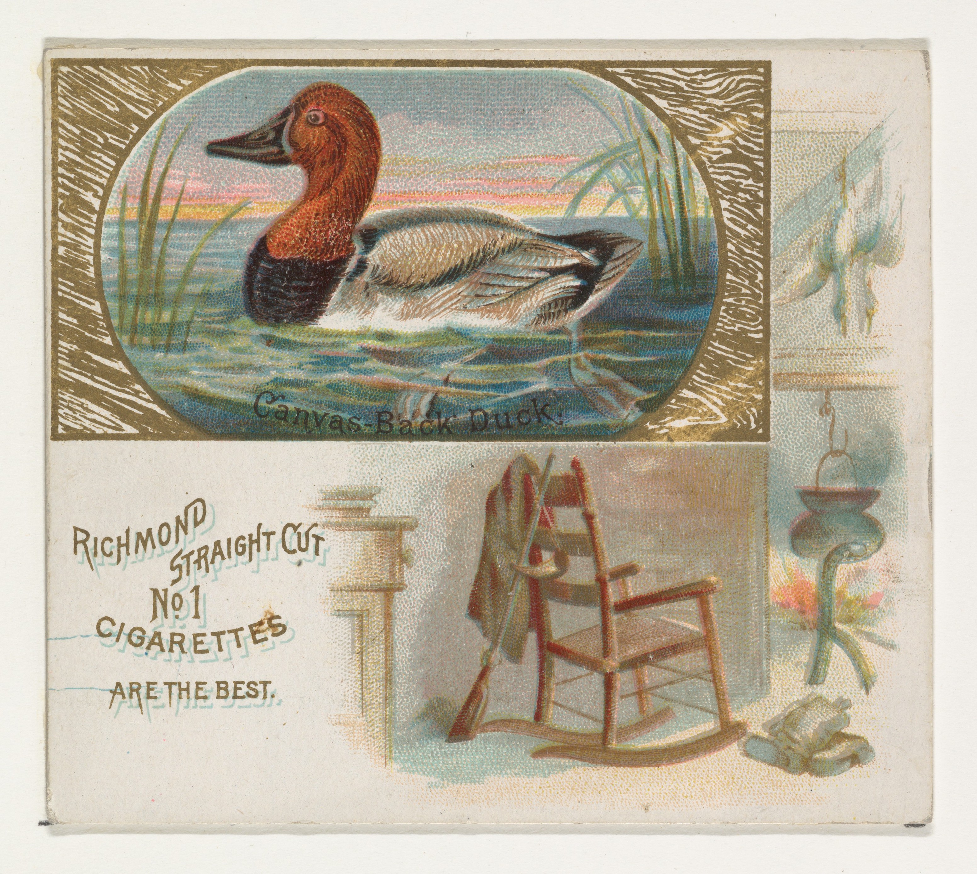 Vintage Canvas-Back Duck Cigarette Ad