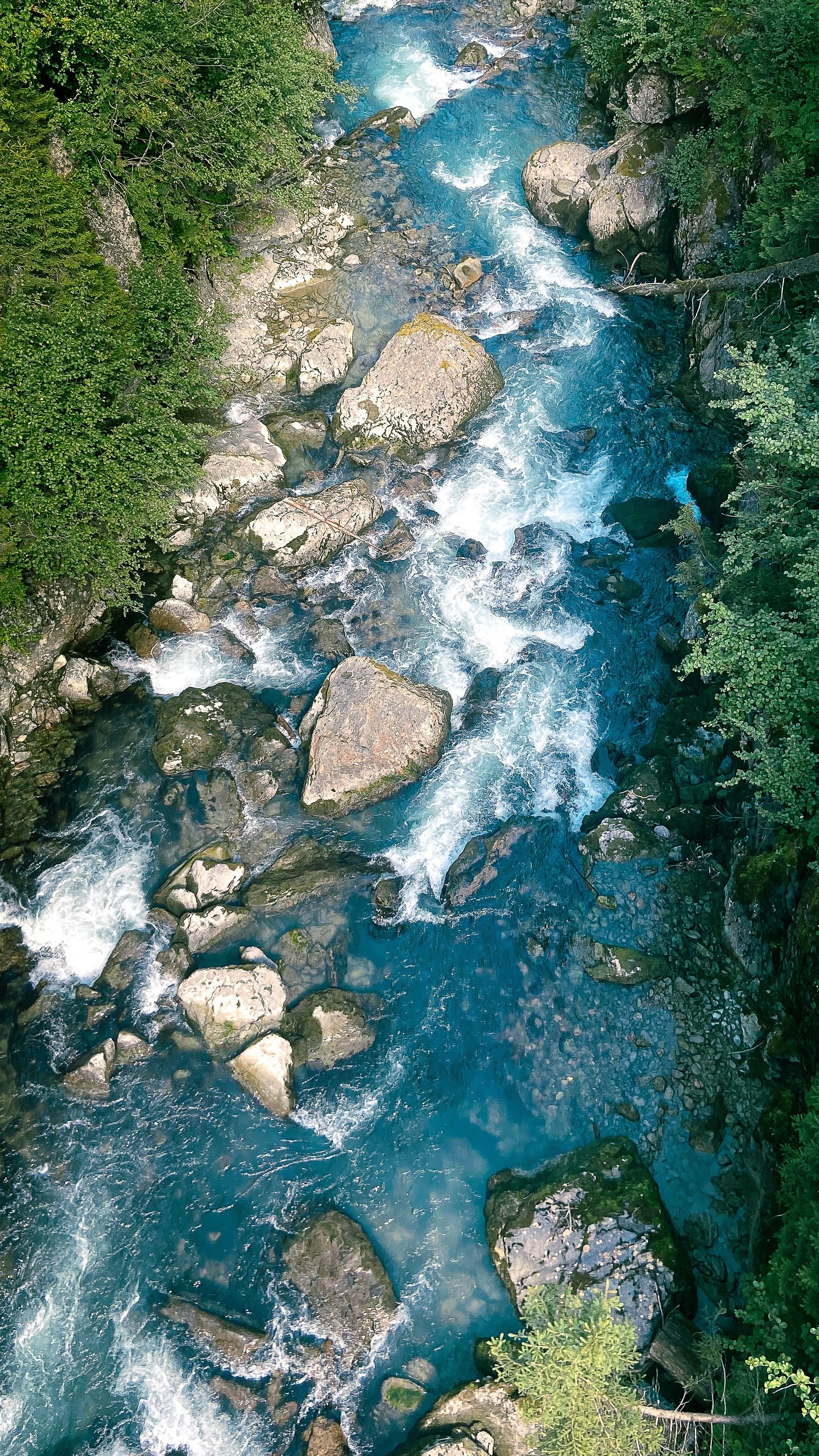 Wallpapers