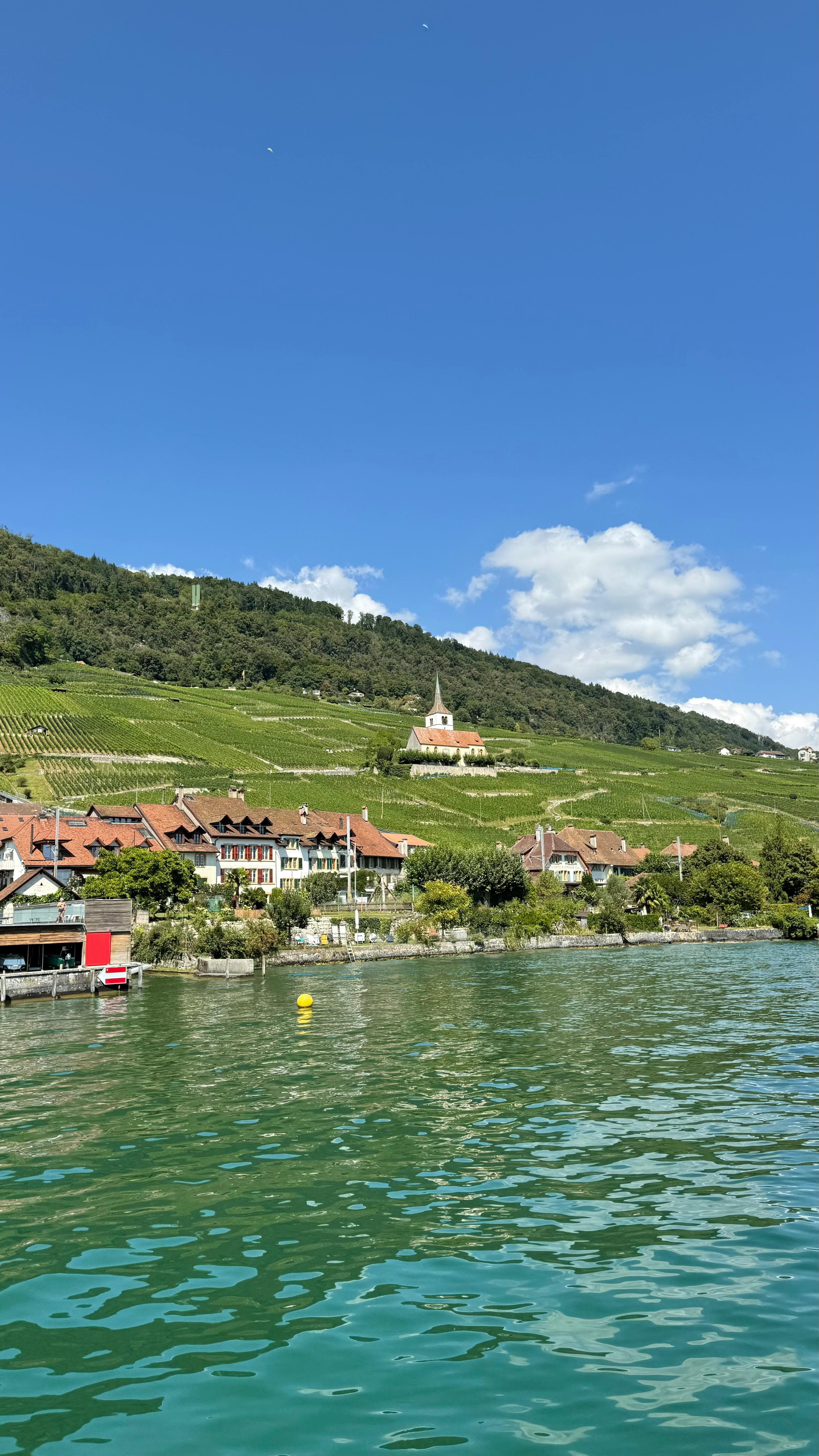 Lakeside Vineyard Village View