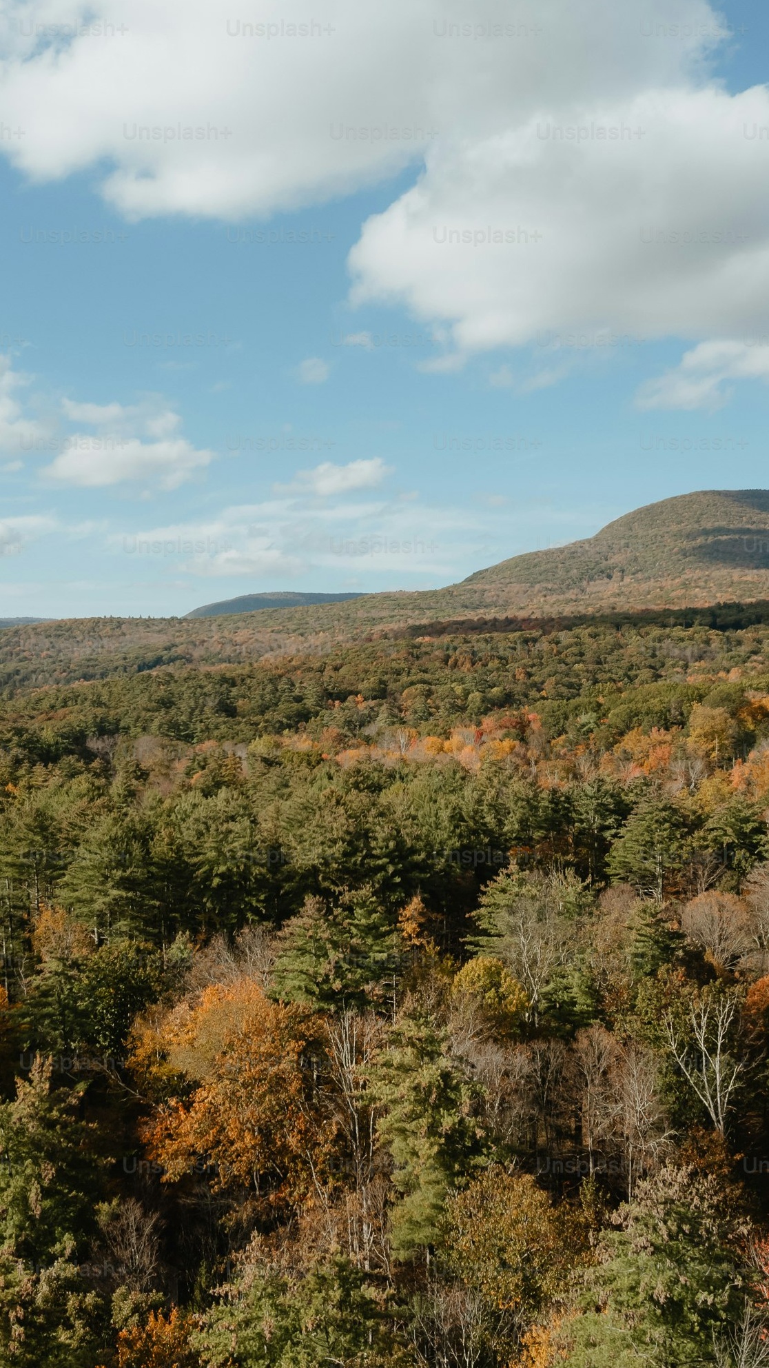 Autumn Forested Mountain Landscape
