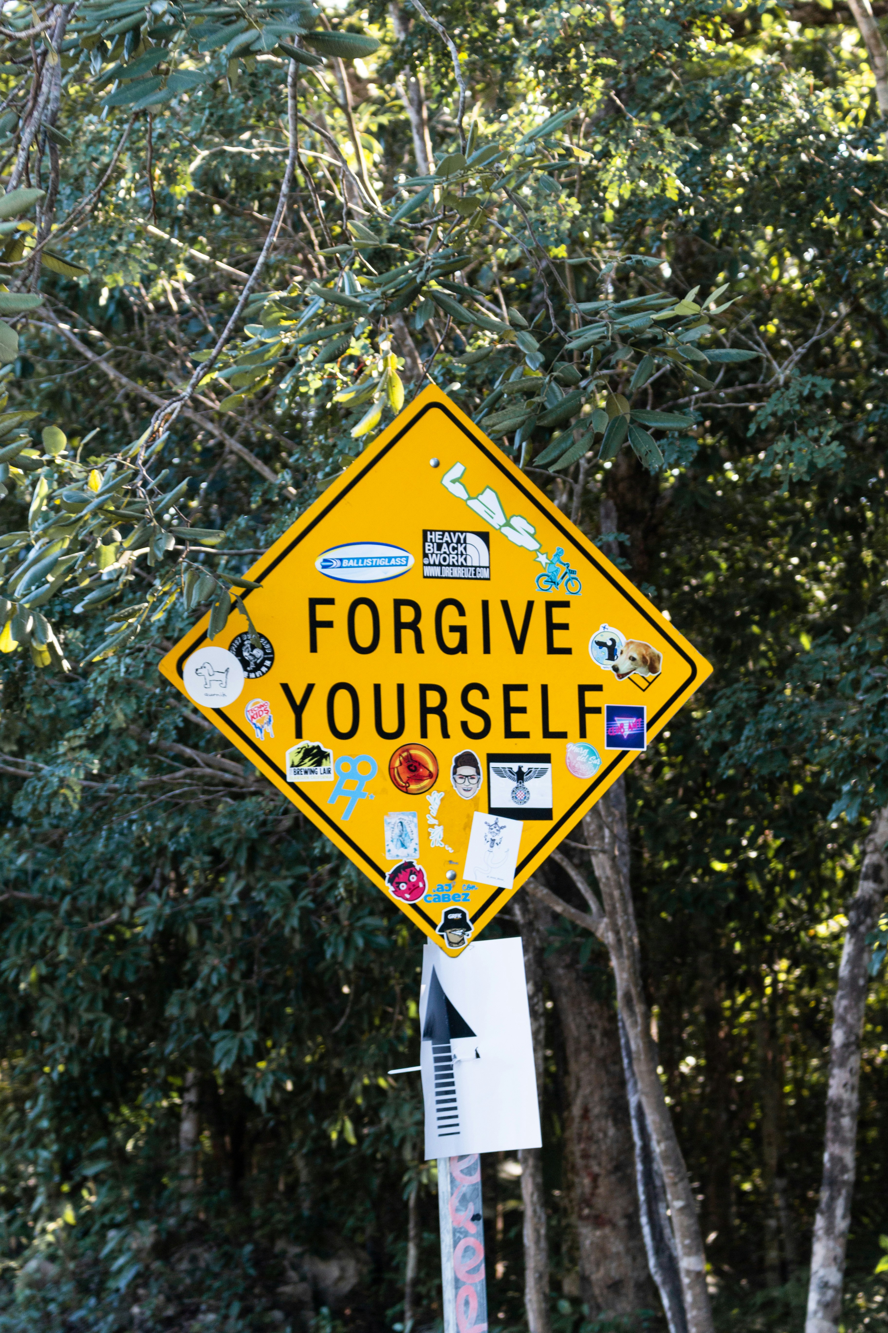 Forgive Yourself Sign in Forest