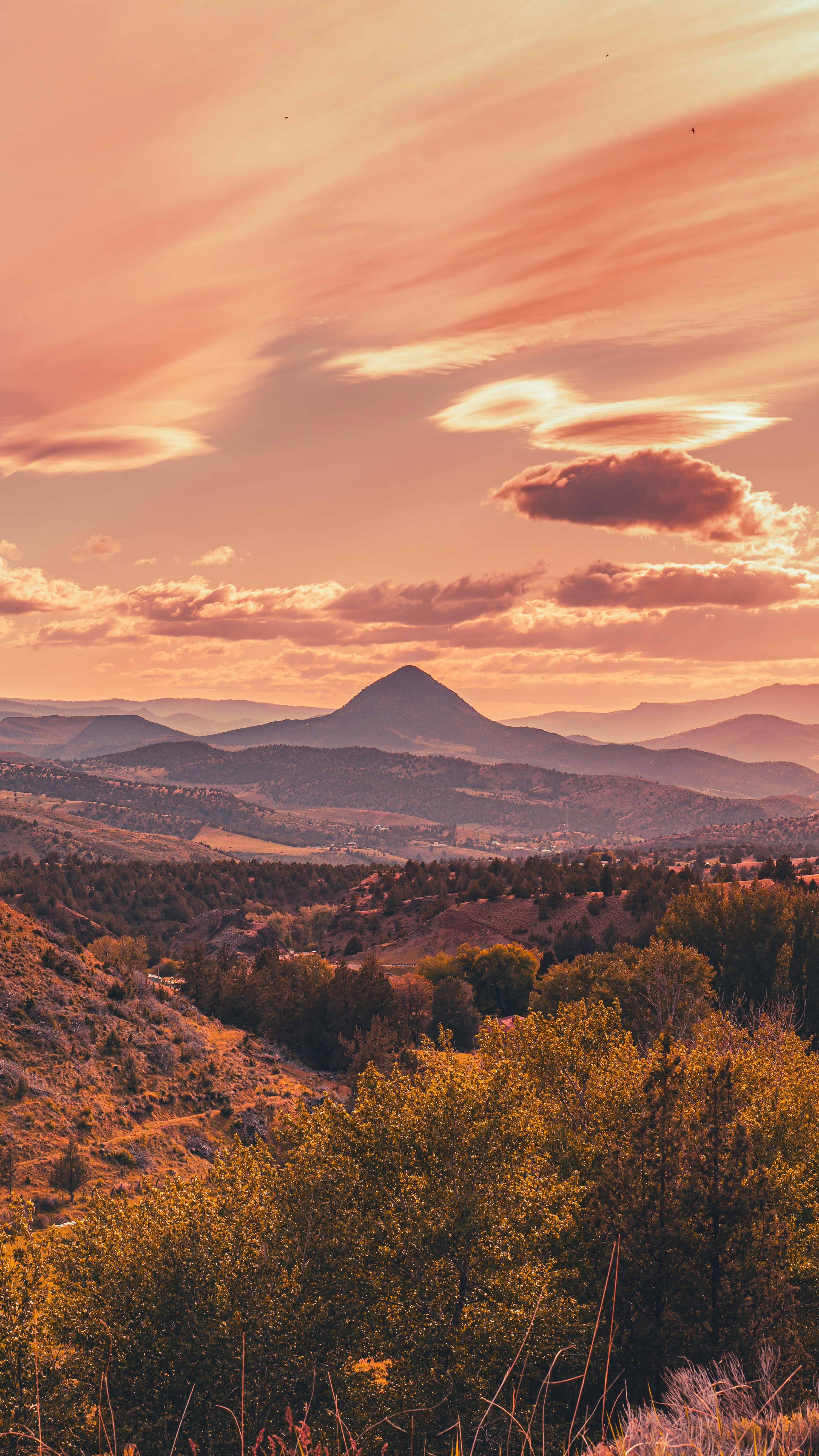 Landscapes