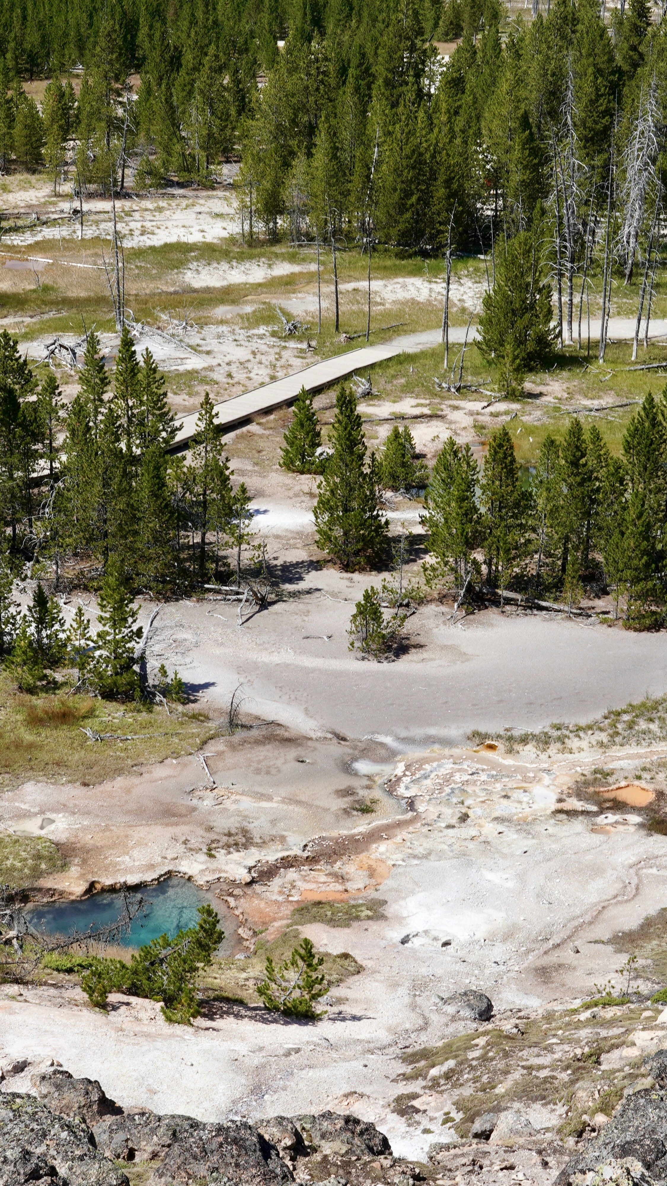 Wallpapers