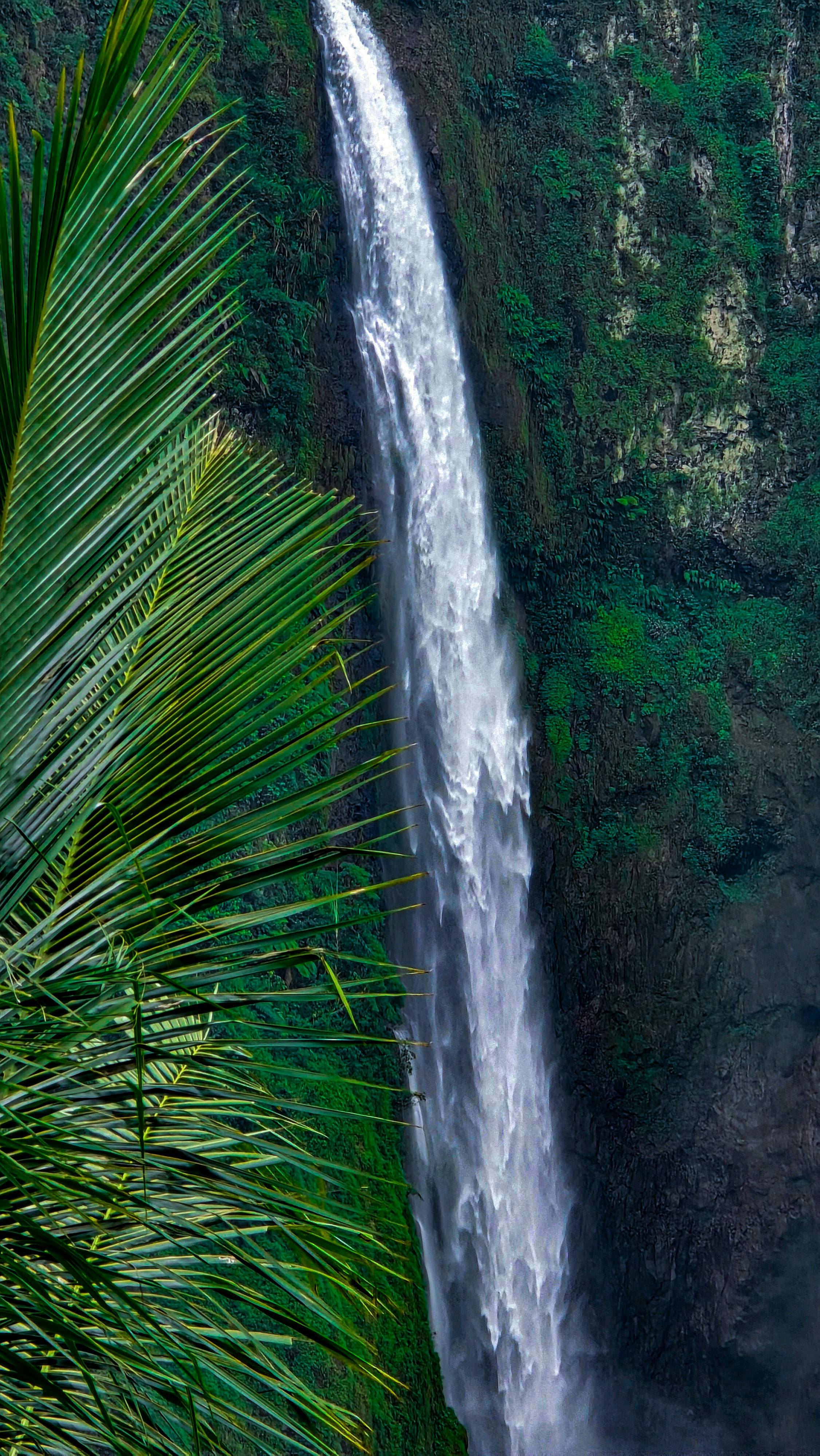 Wallpapers