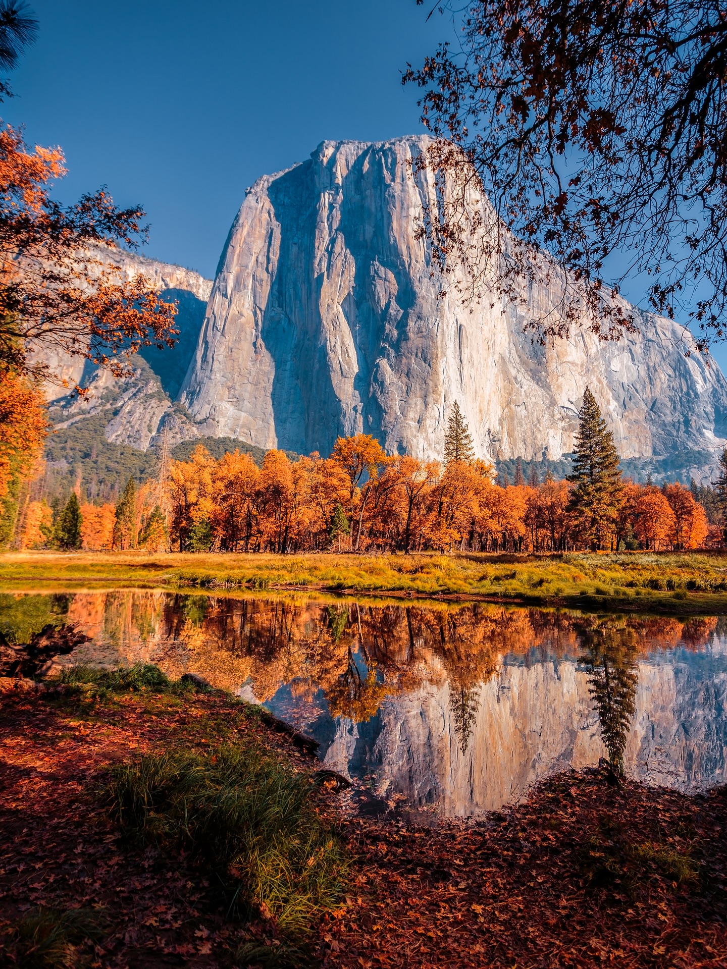 El Capitan Autumn Reflection