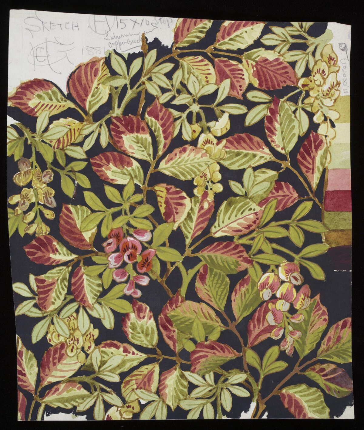 Watercolor Botanical Textile Sketch