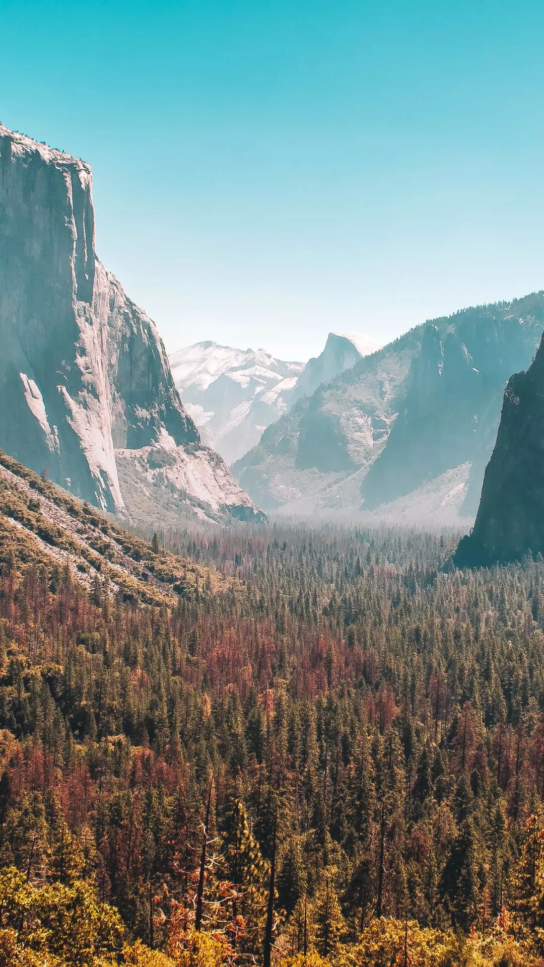 Landscapes