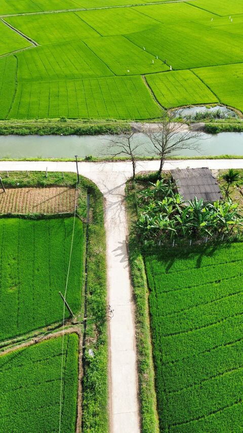 Image 1622353 — Images